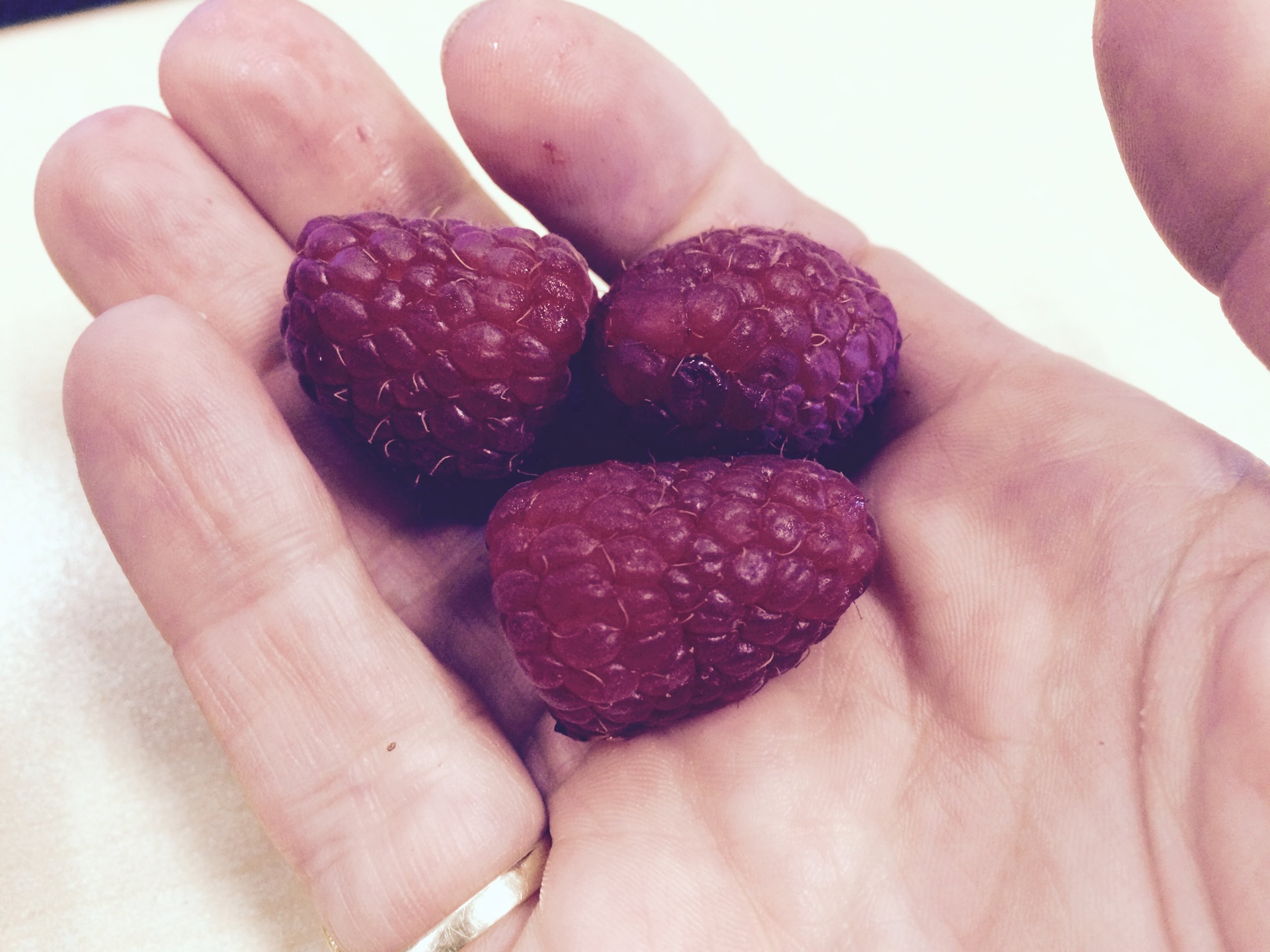 raspberry.jpg