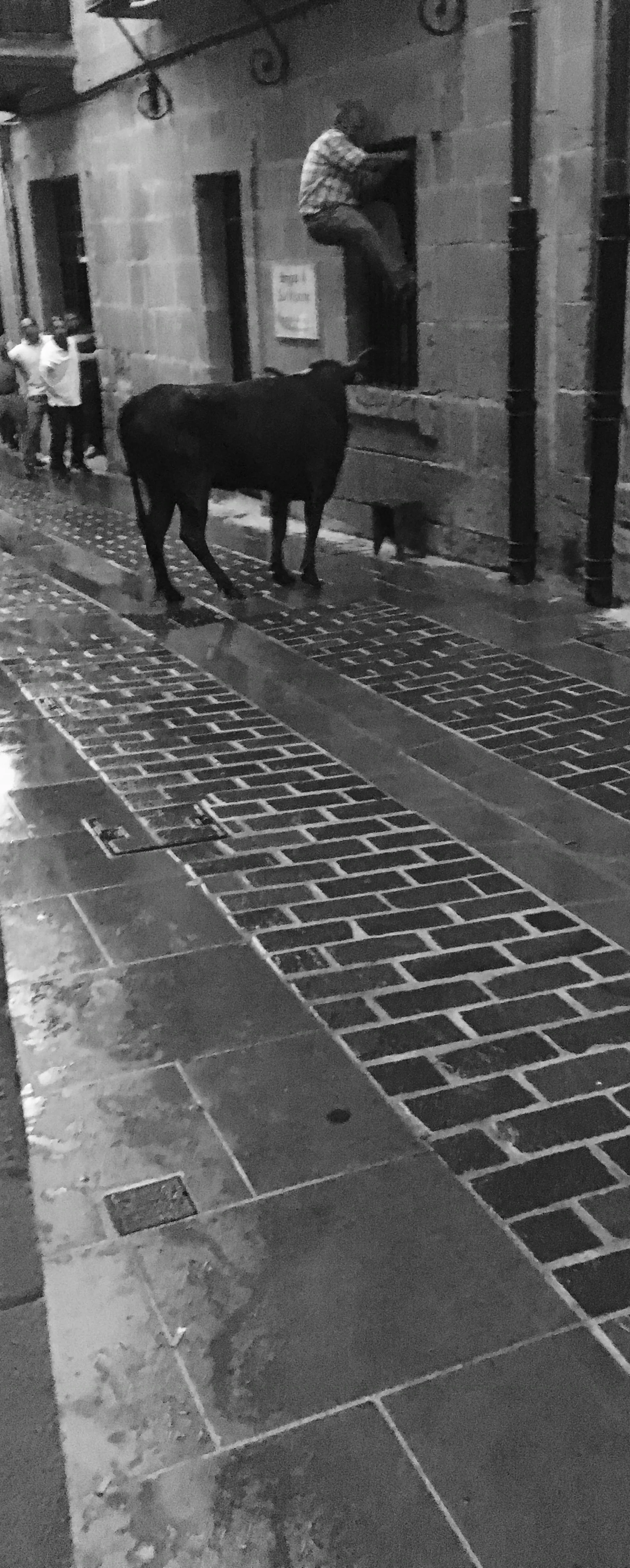 bull-and-man.jpg