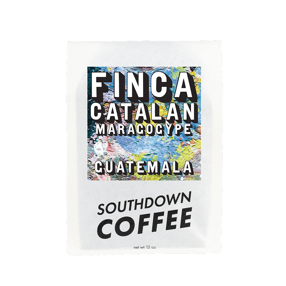 Finca Catalan Maragogype from Guatemala, roasted fresh by Southdown Coffee on Long Island, New York