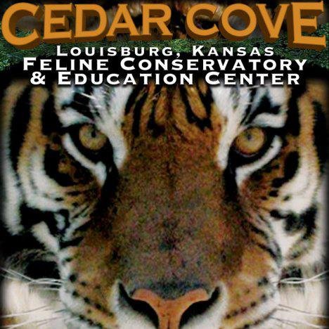 Cedar Cove Feline Conservancy 