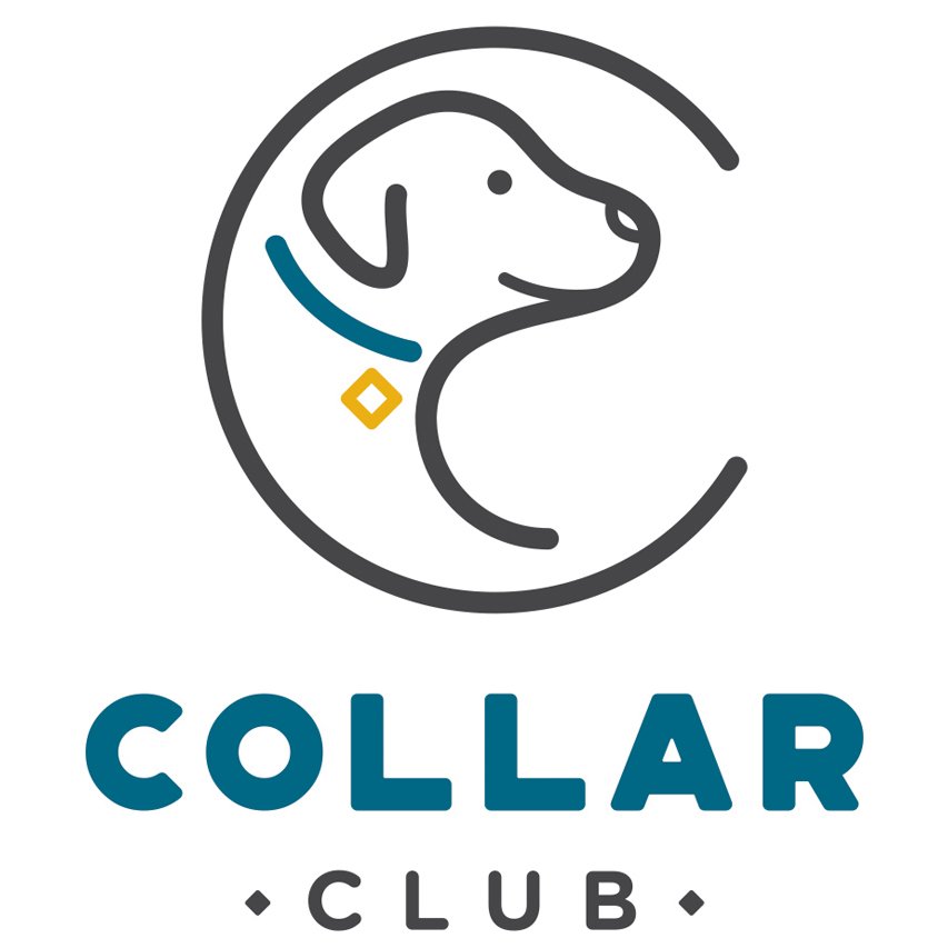 Collar Club | 8 Days of Dayplay