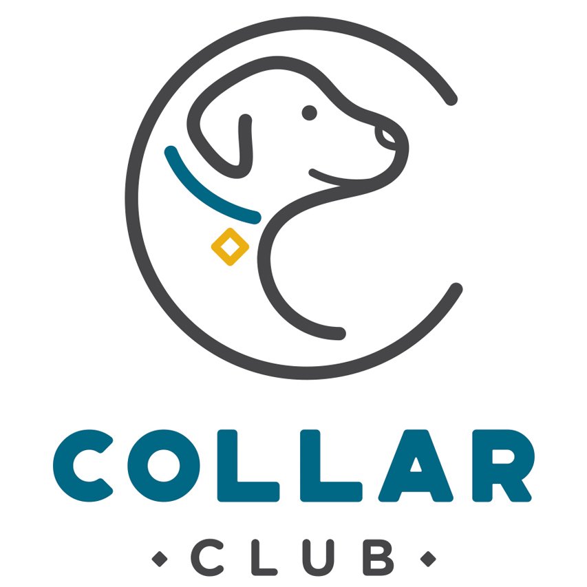 Collar Club | Petiquette Bronze Training