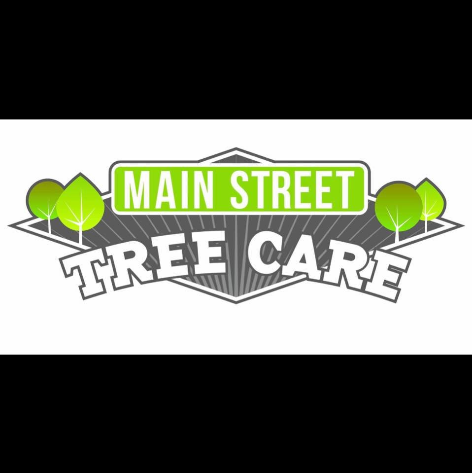 Main Street Tree Care