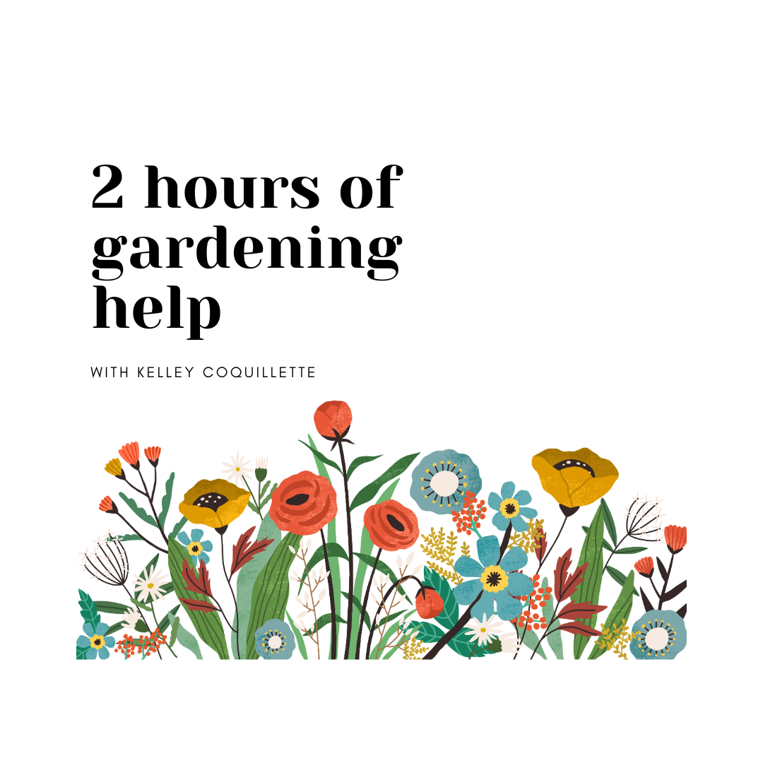 Two Hour Gardening Assistance