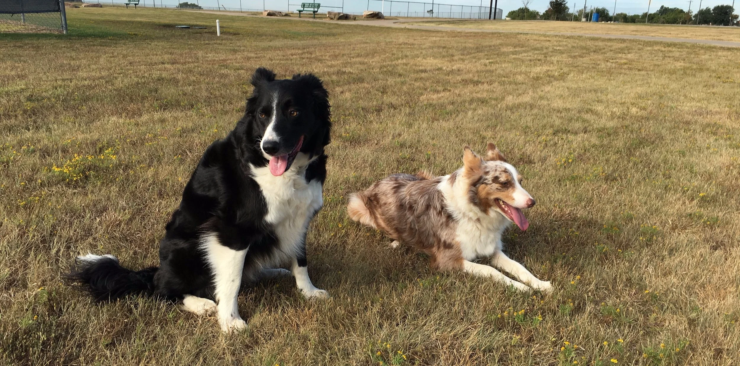 Bella and Sadie