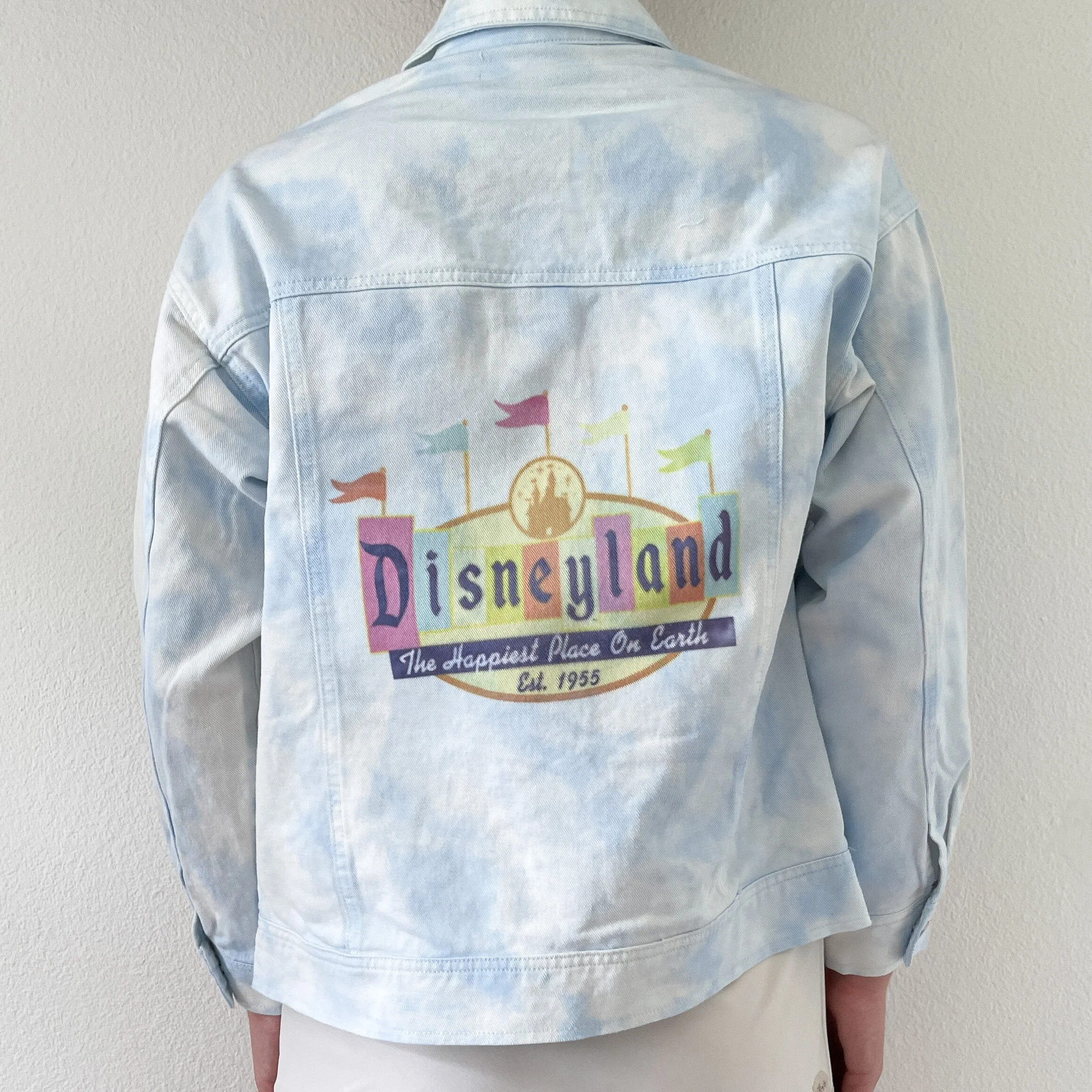 One-of-a-Kind Retro Disneyland Sign 
