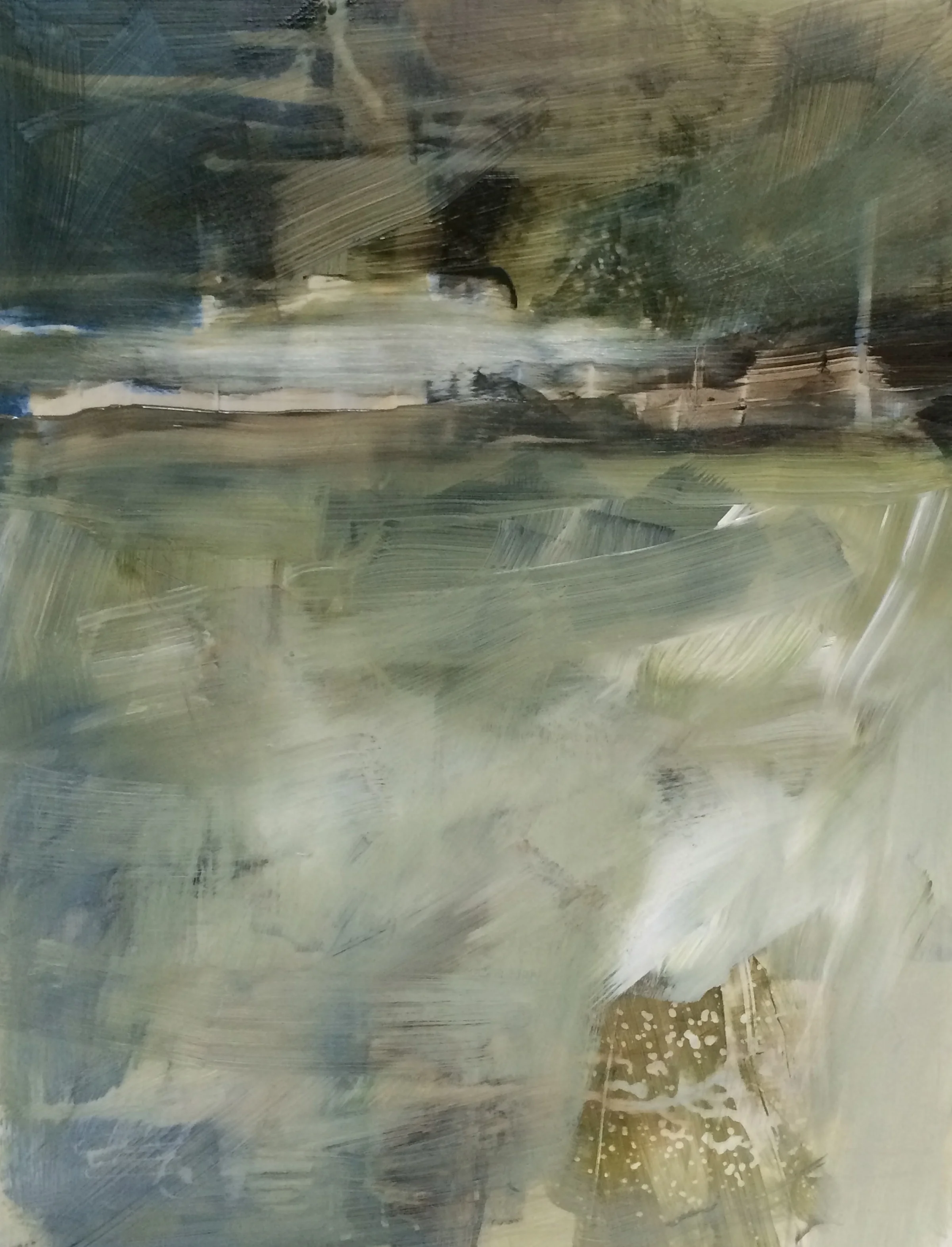 intertidal zone