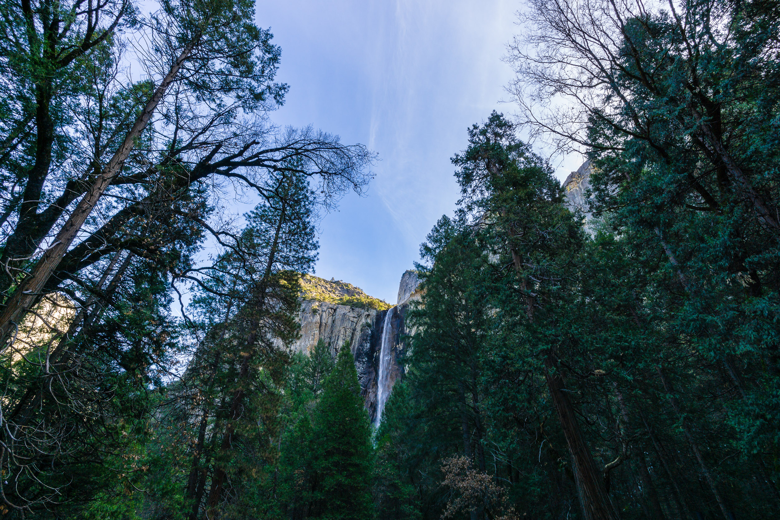 Angel Falls
