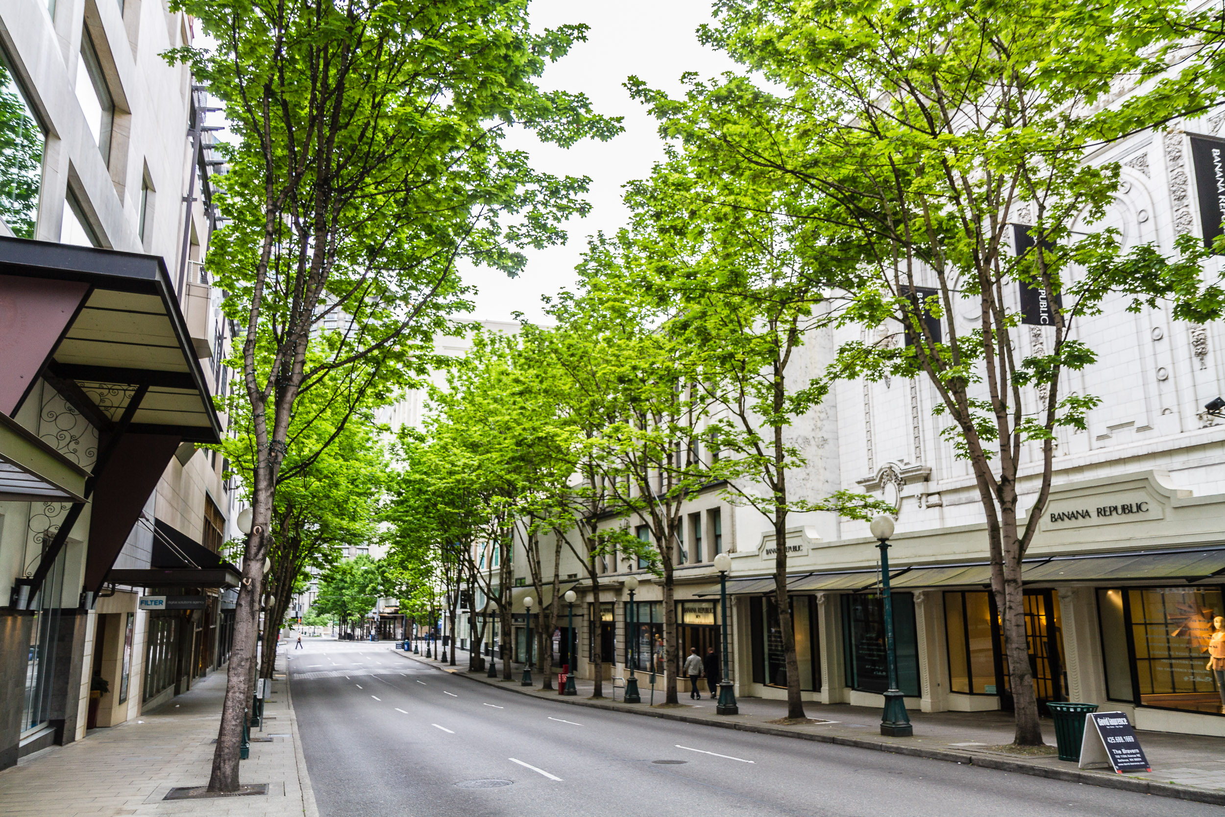 Tree Lined