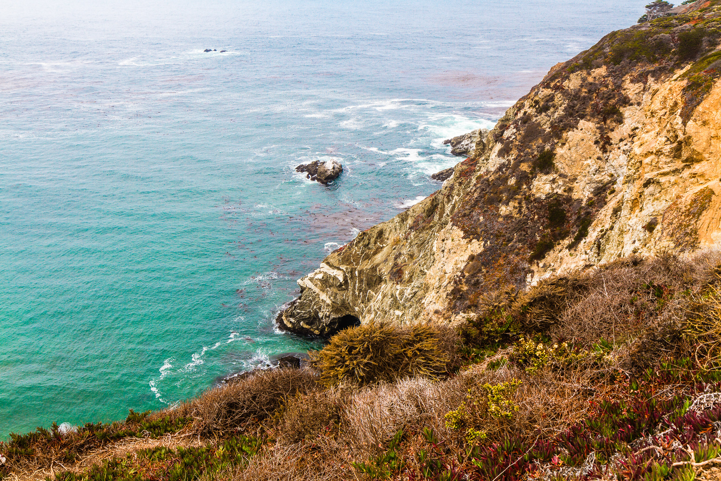 Sea Cliff