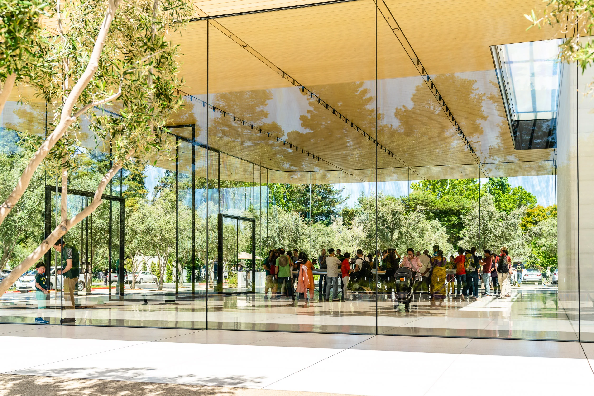 Apple Park Visitor Center. Cupertino, CA.
