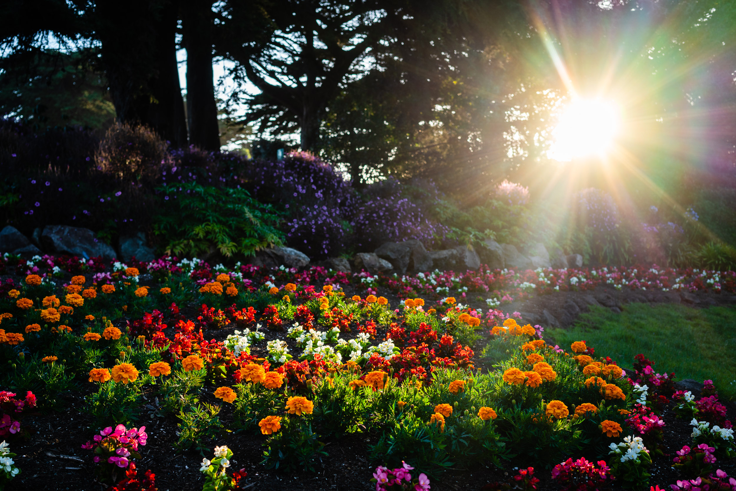 Framed by Nature