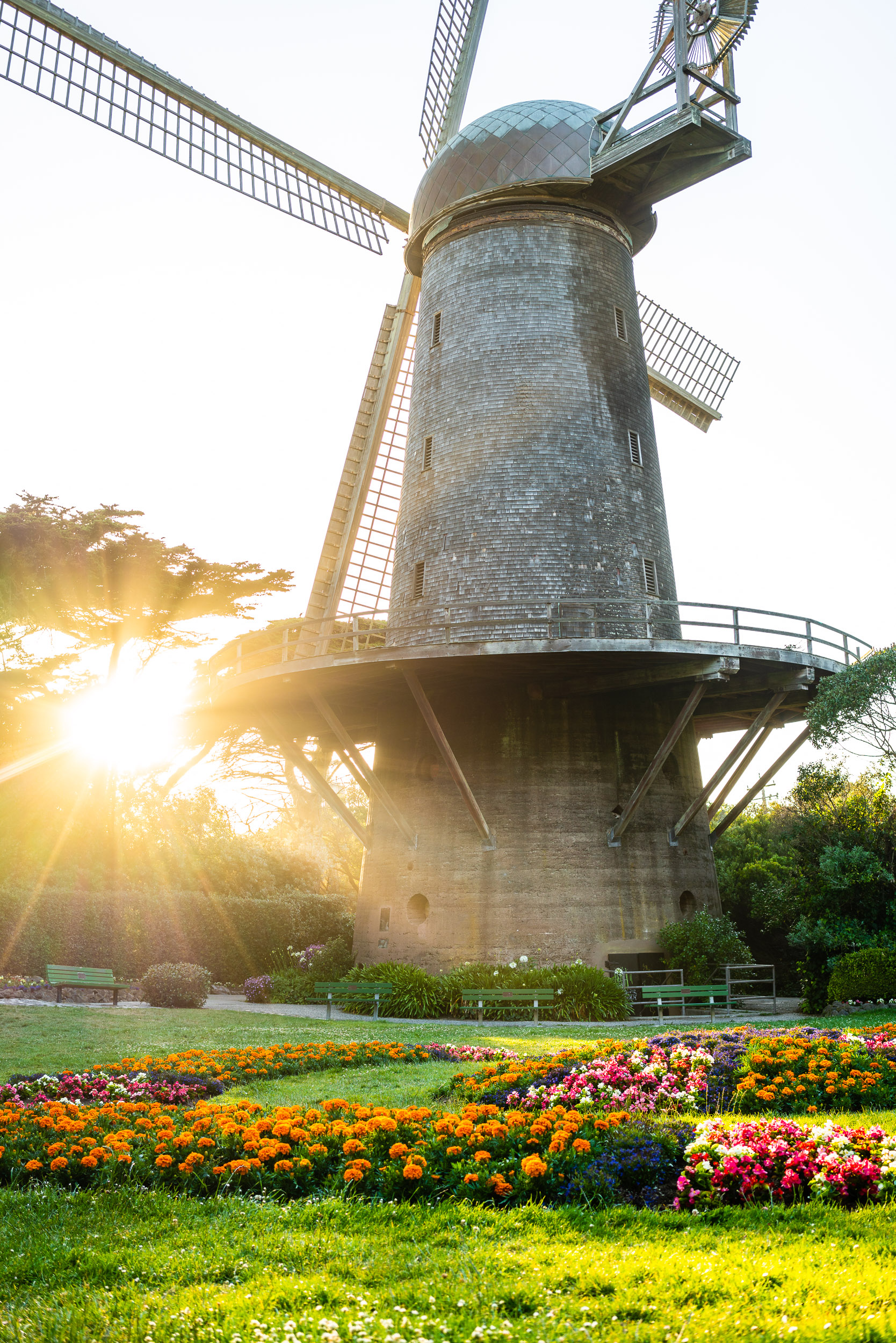 Dutch Windmill