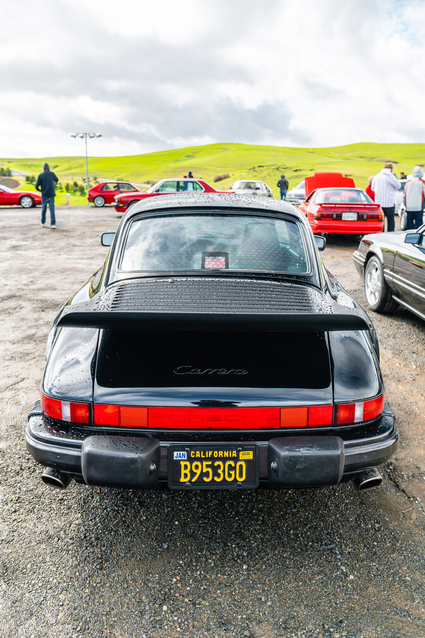 Whale Tail