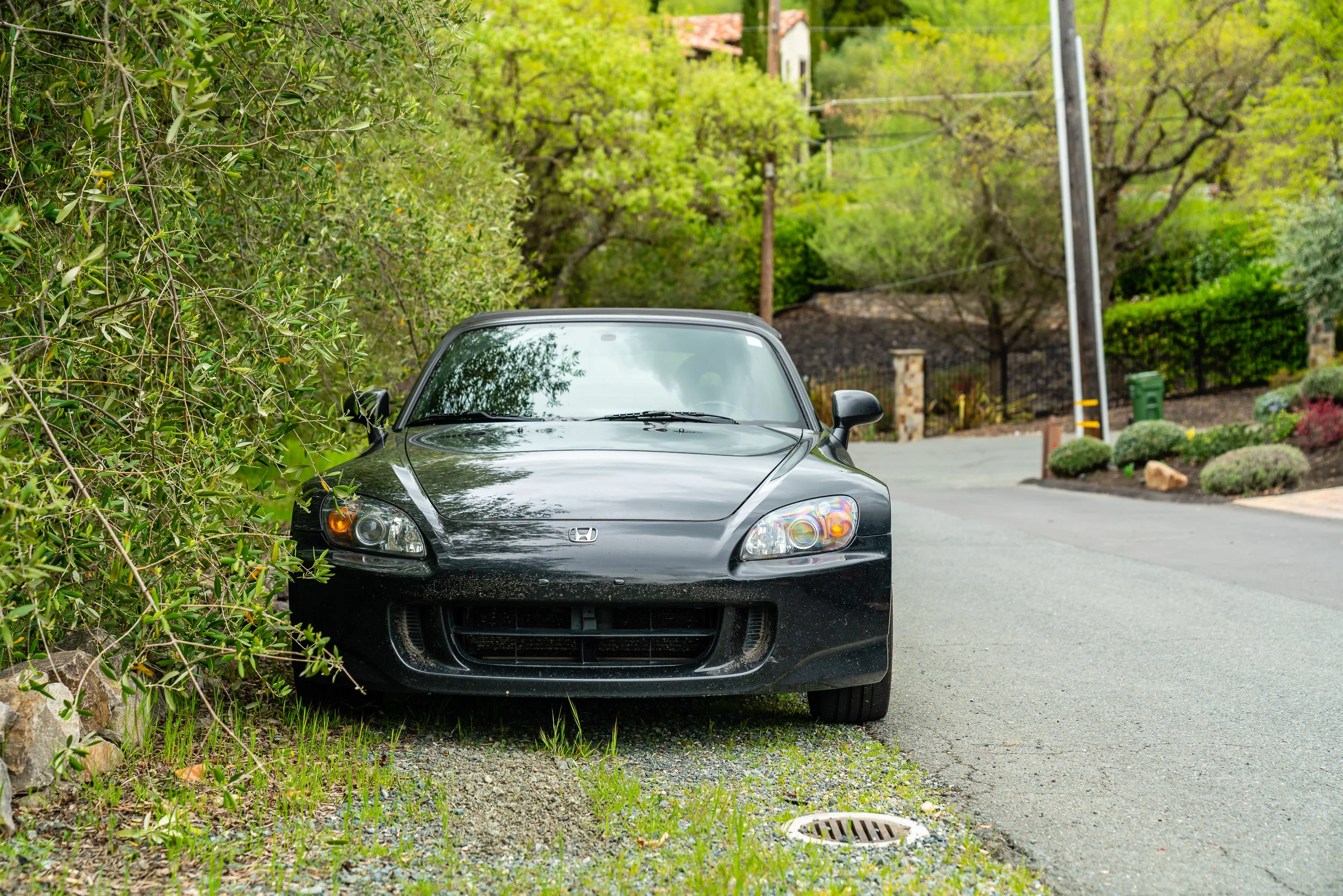 20190406-DSC05595-tcl-meet.jpg