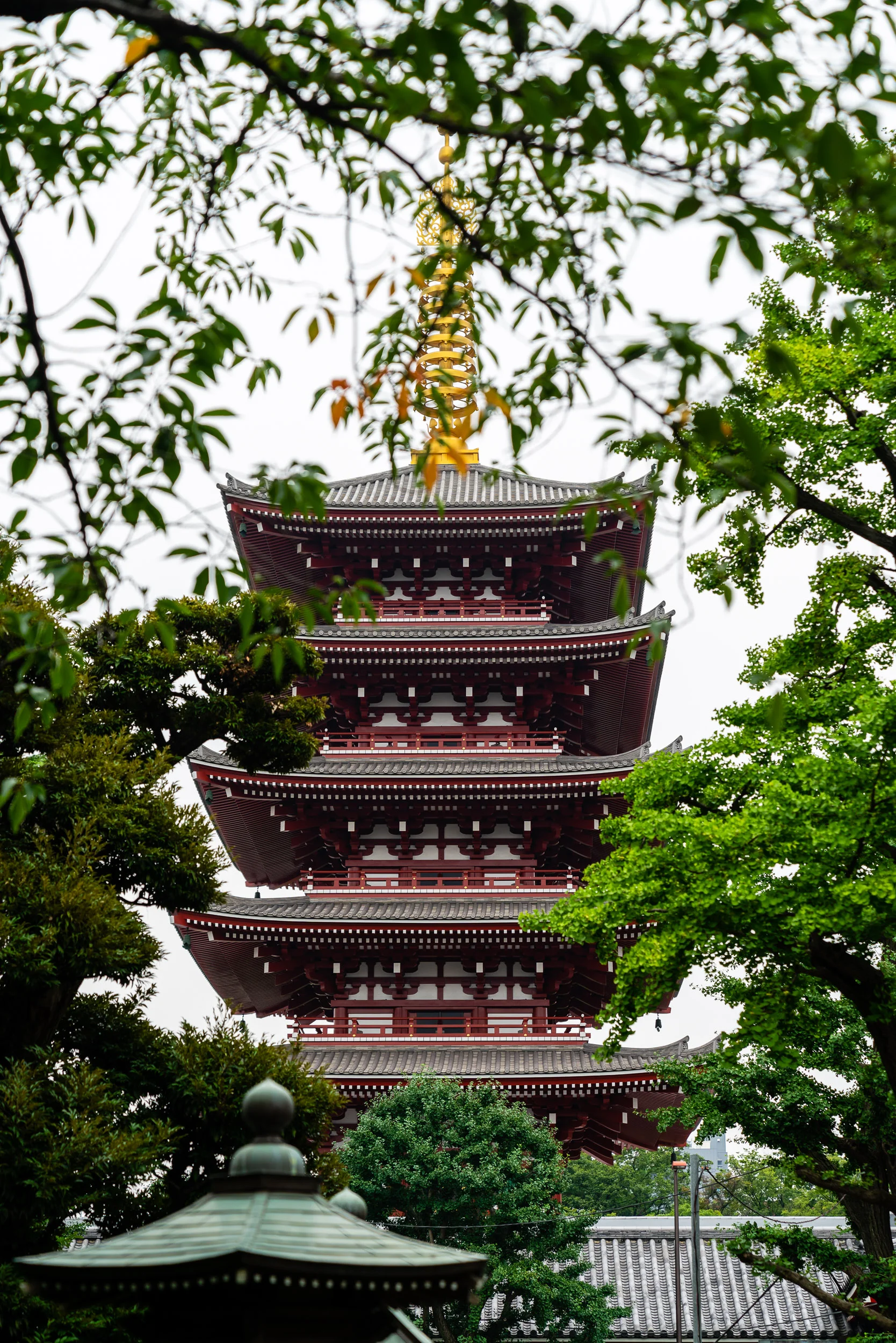 20190719-DSC05958-japan-escape-2019.jpg