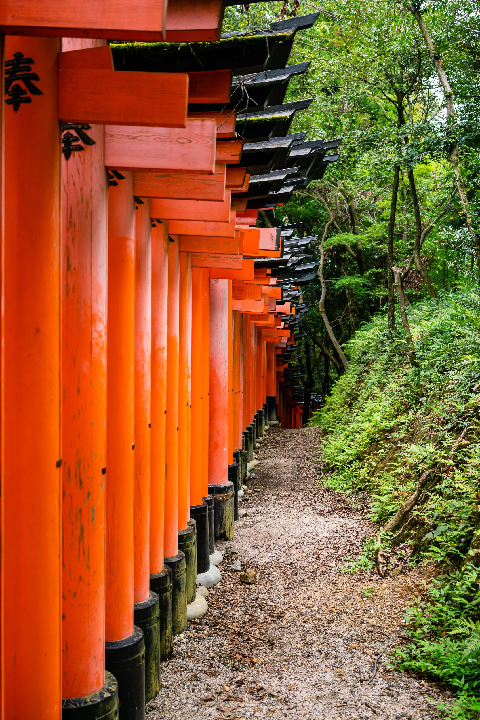 20190722-DSC06310-japan-escape-2019.jpg