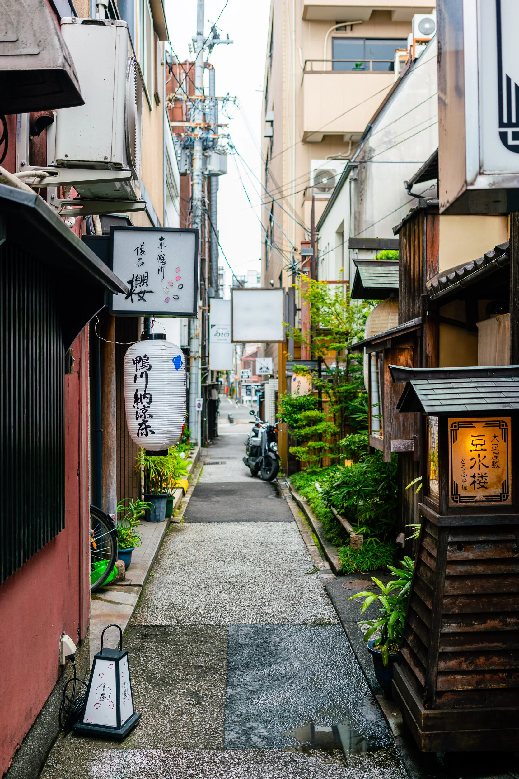 20190722-DSC06375-japan-escape-2019.jpg