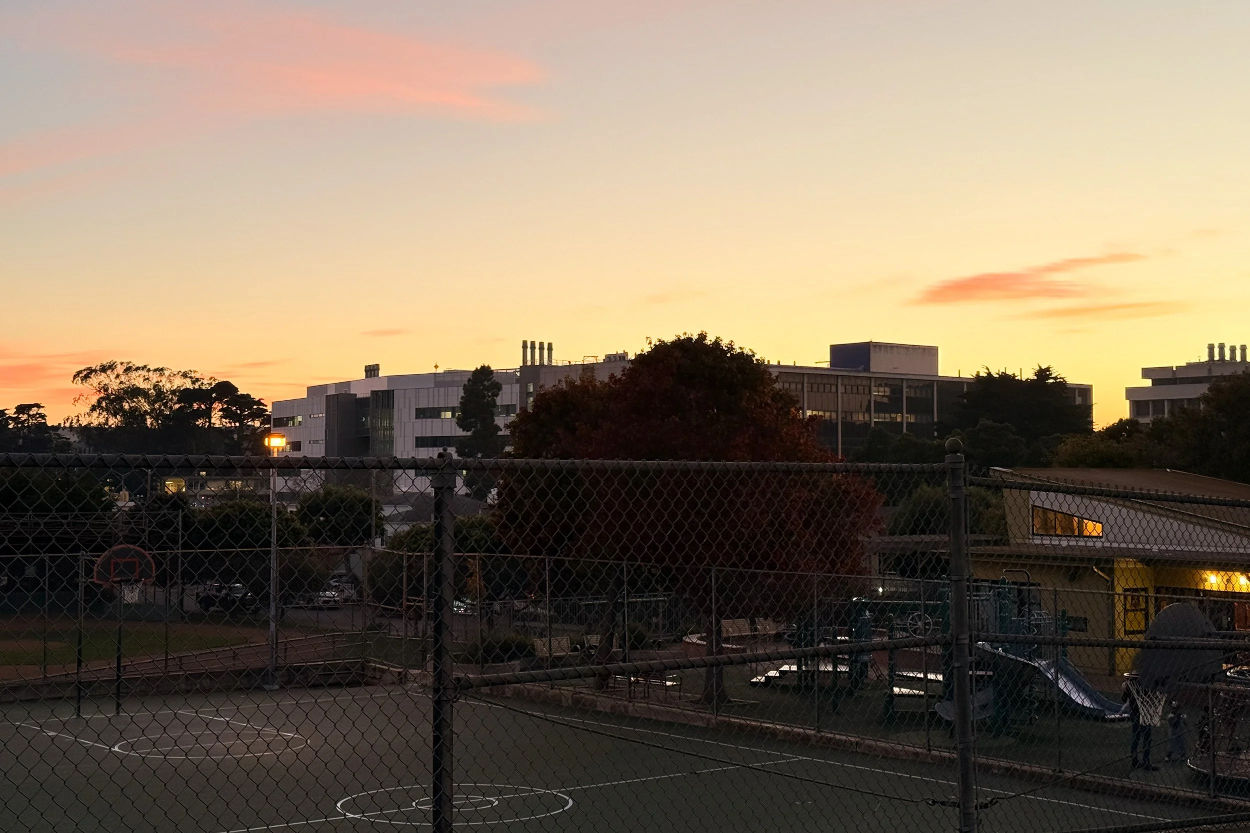 Day 338