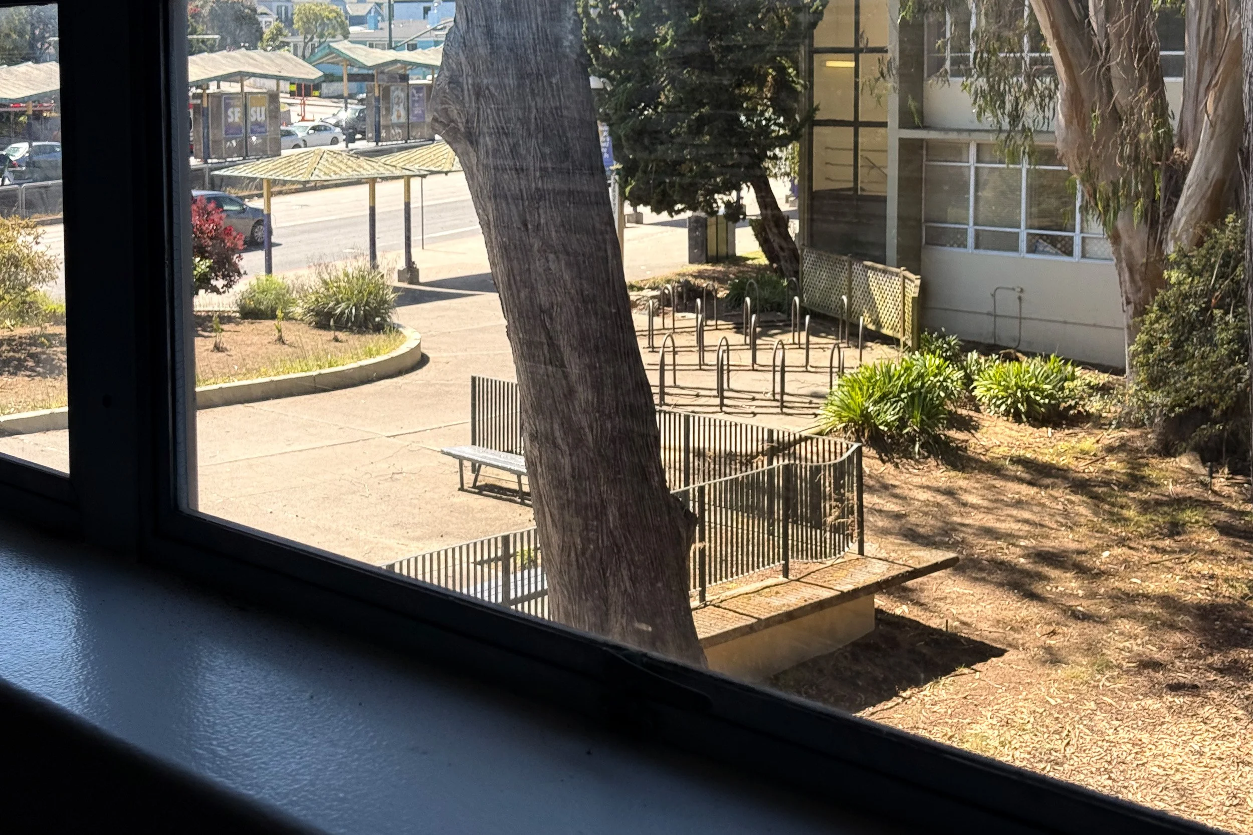 Day 138