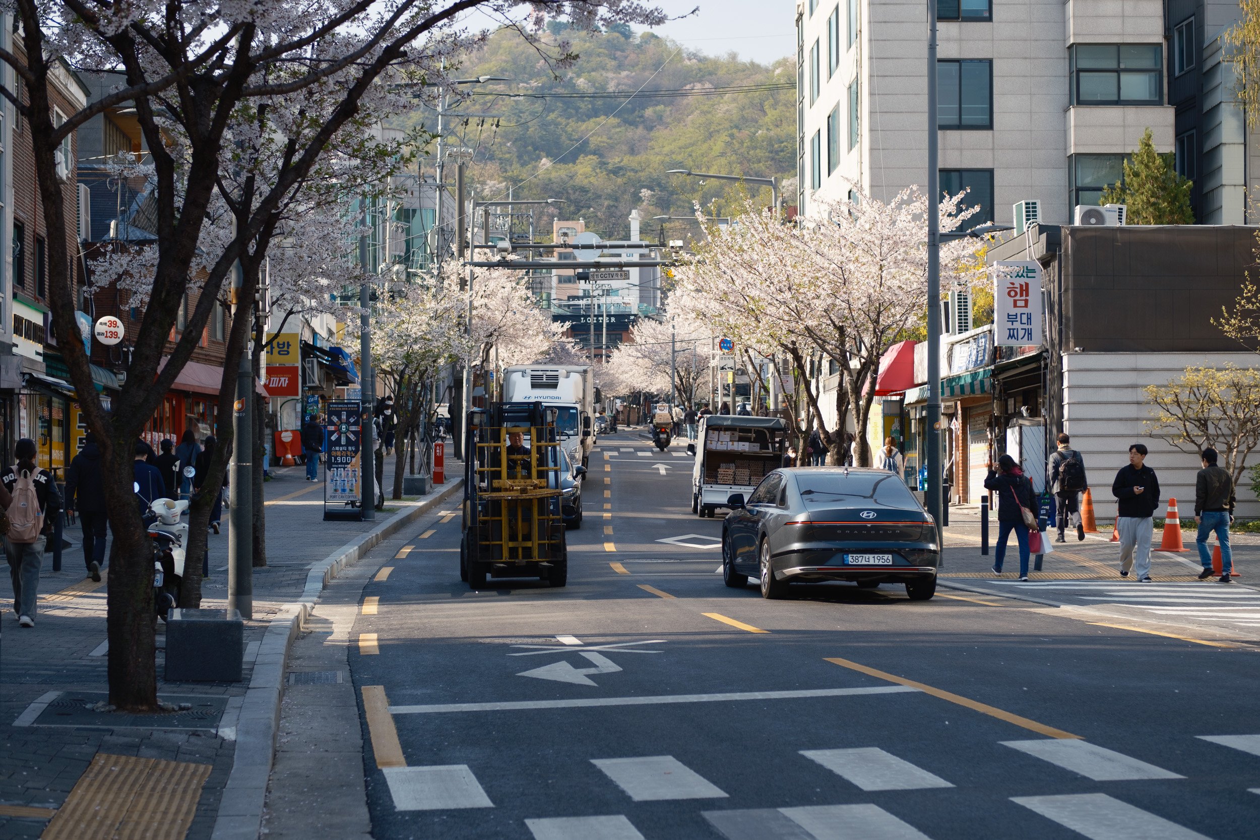 korea-escape-2025-3.jpg