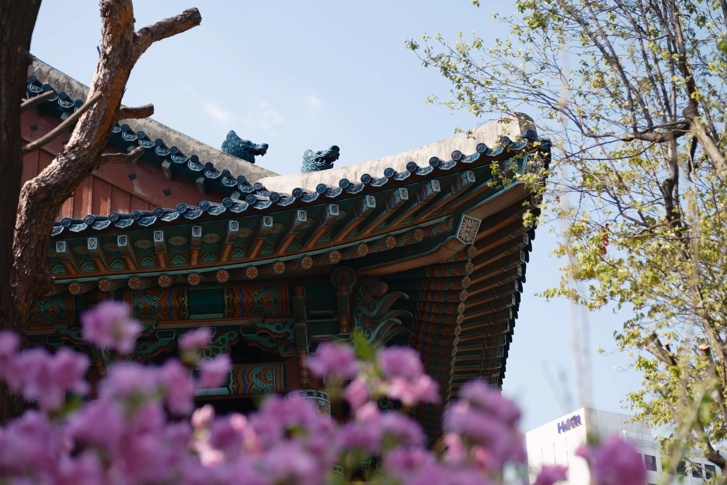 korea-escape-2025-15.jpg
