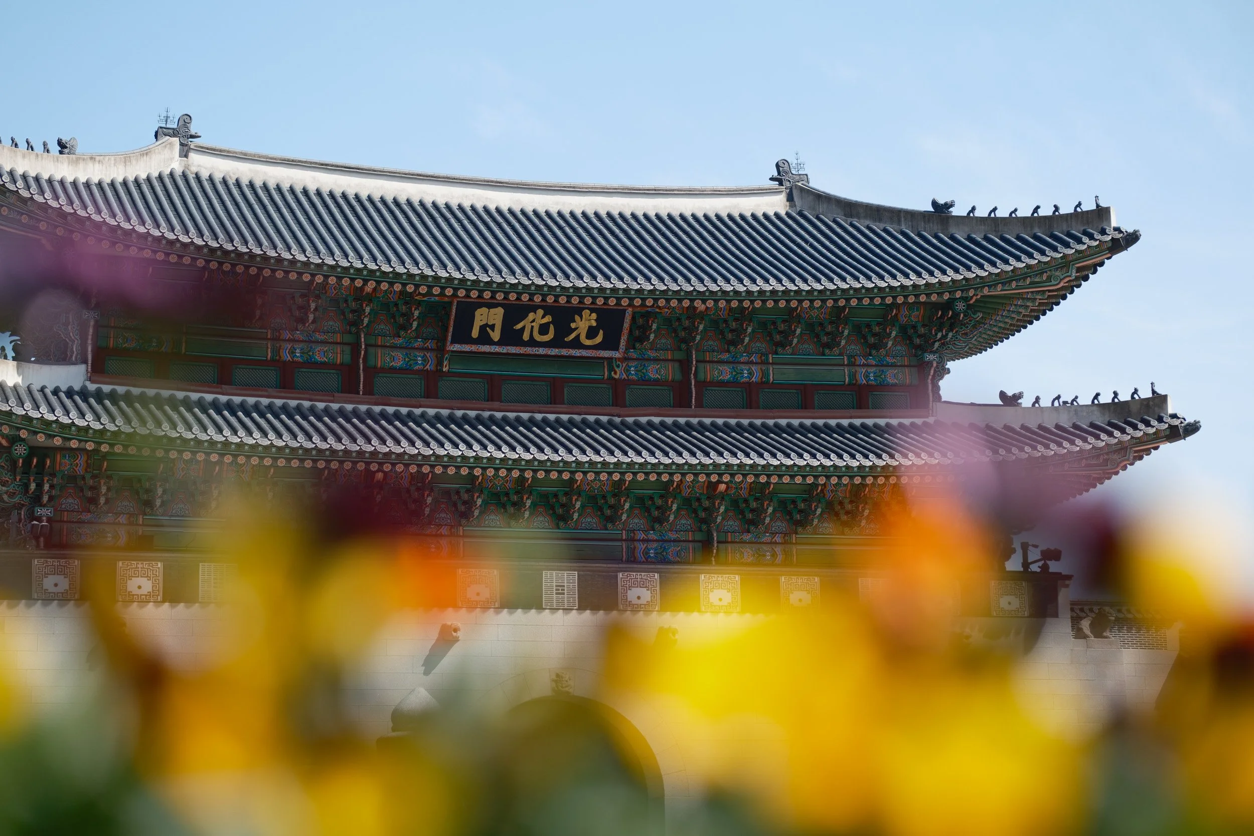 korea-escape-2025-26.jpg
