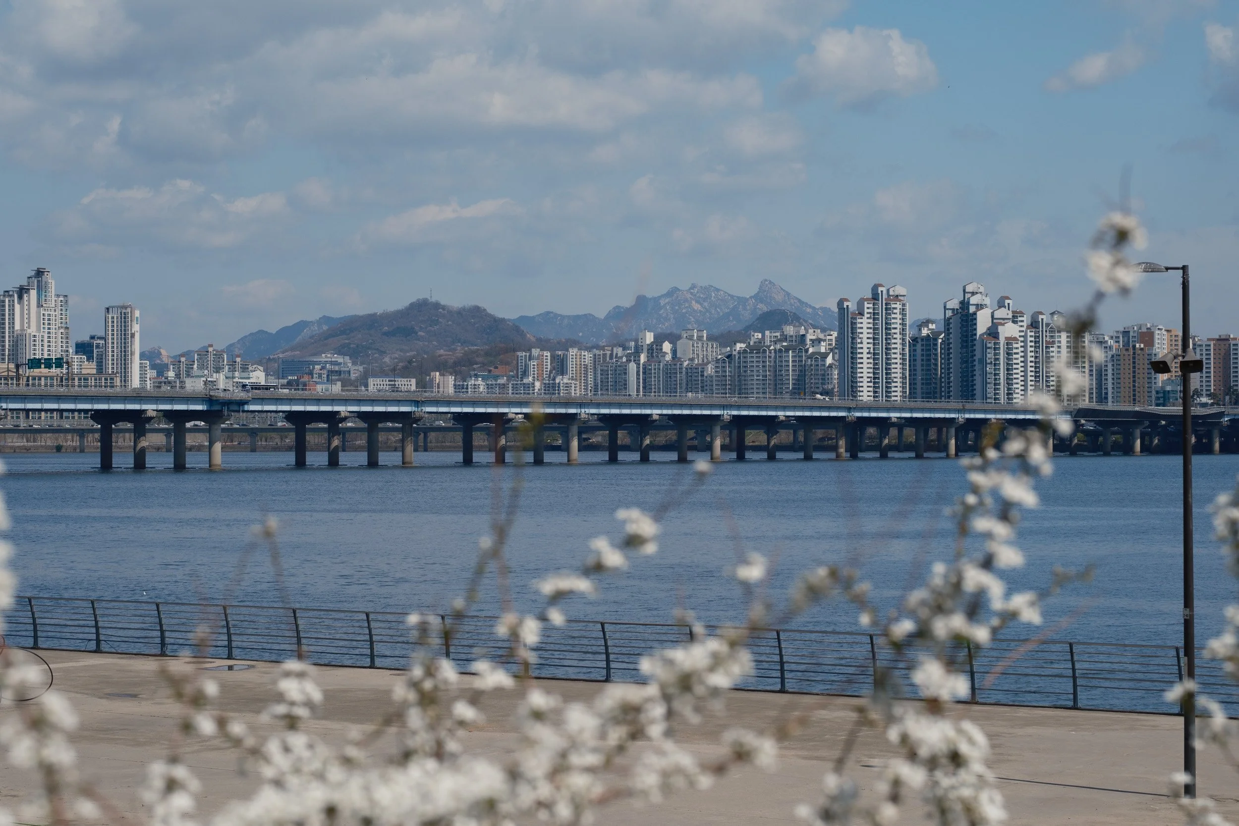 korea-escape-2025-39.jpg