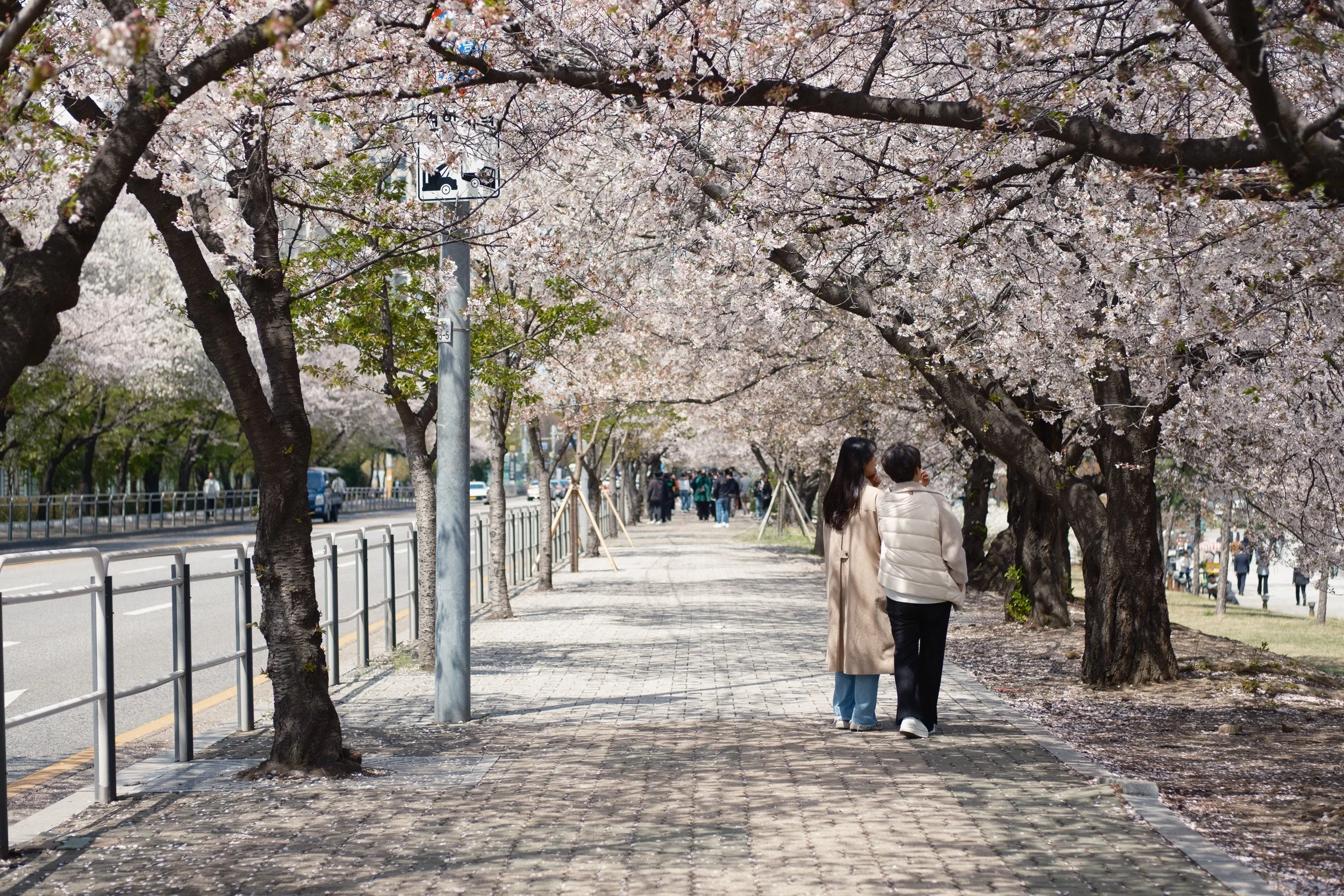 korea-escape-2025-52.jpg