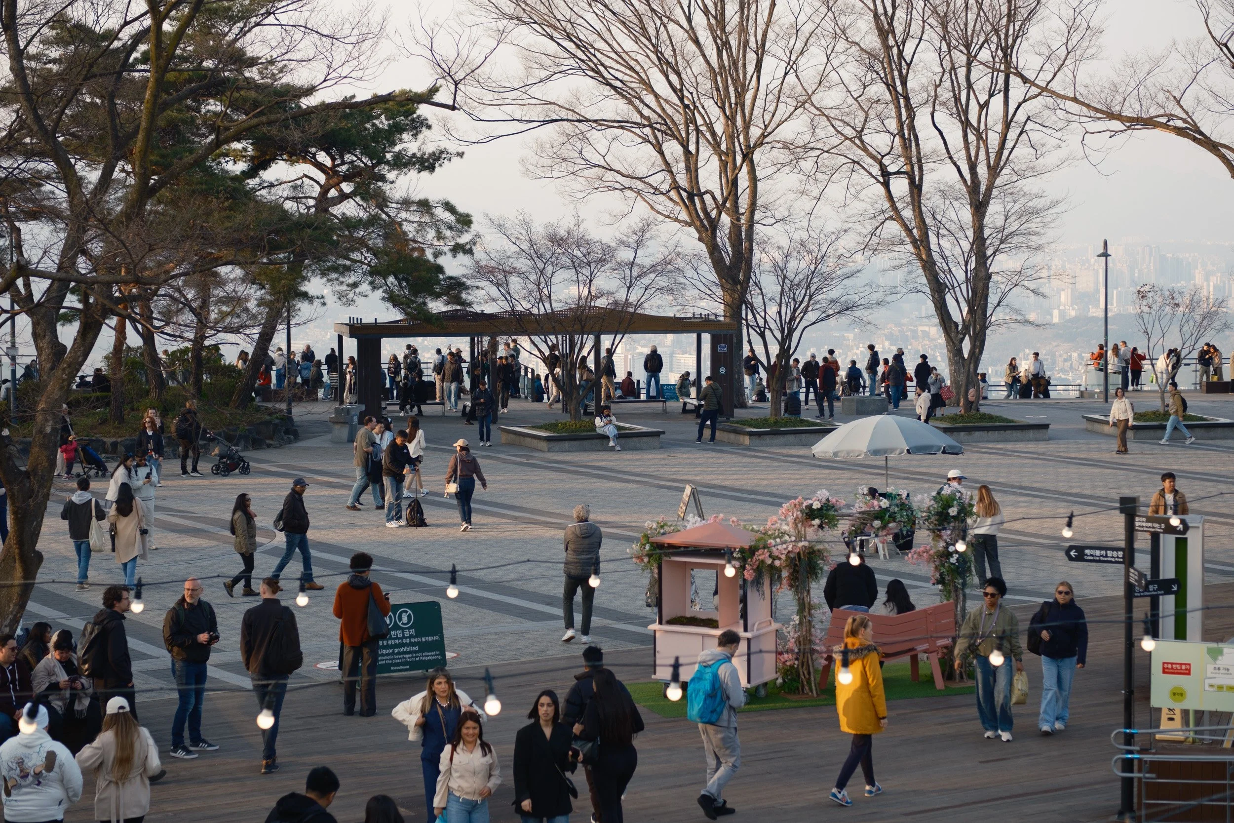 korea-escape-2025-92.jpg