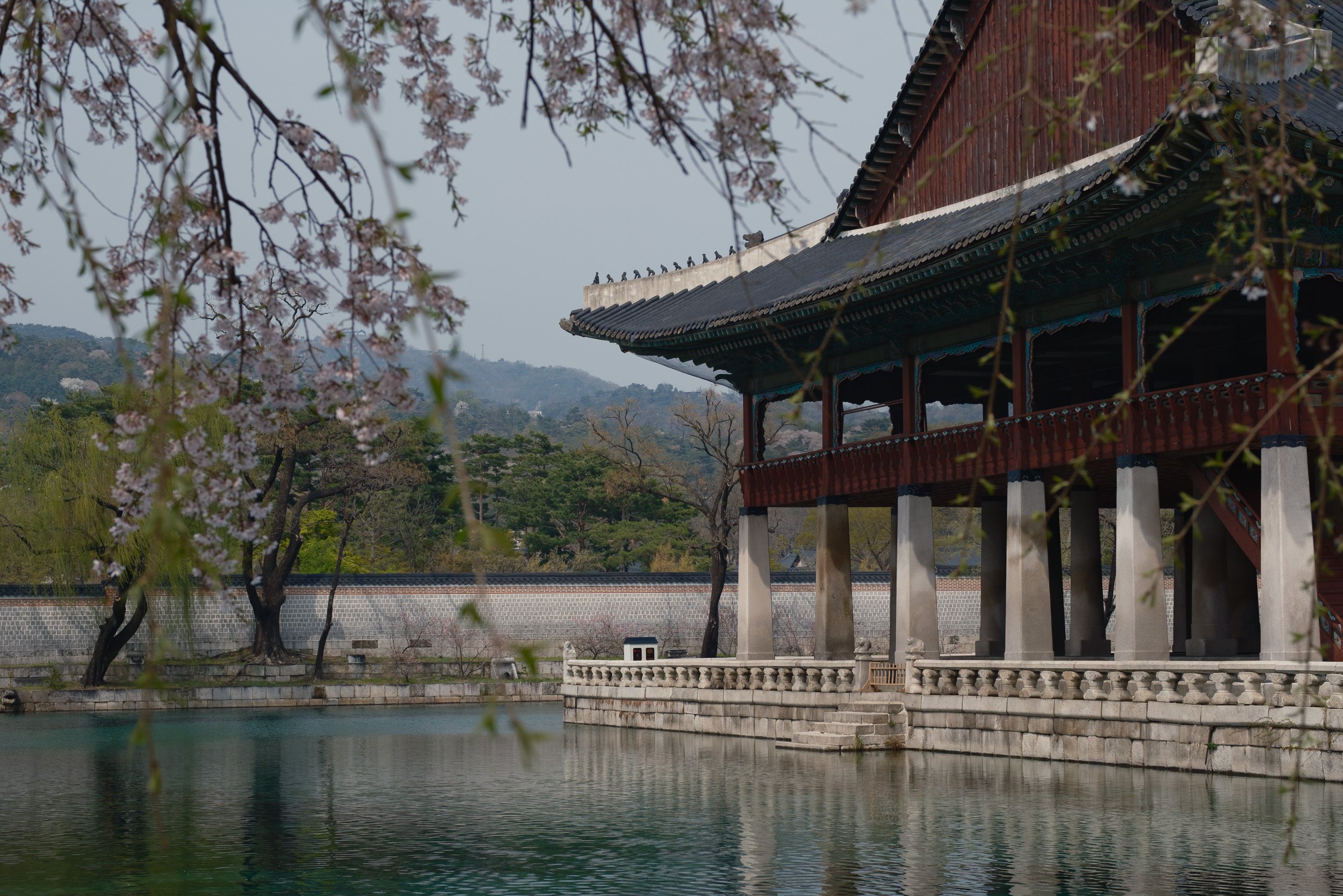 korea-escape-2025-223.jpg