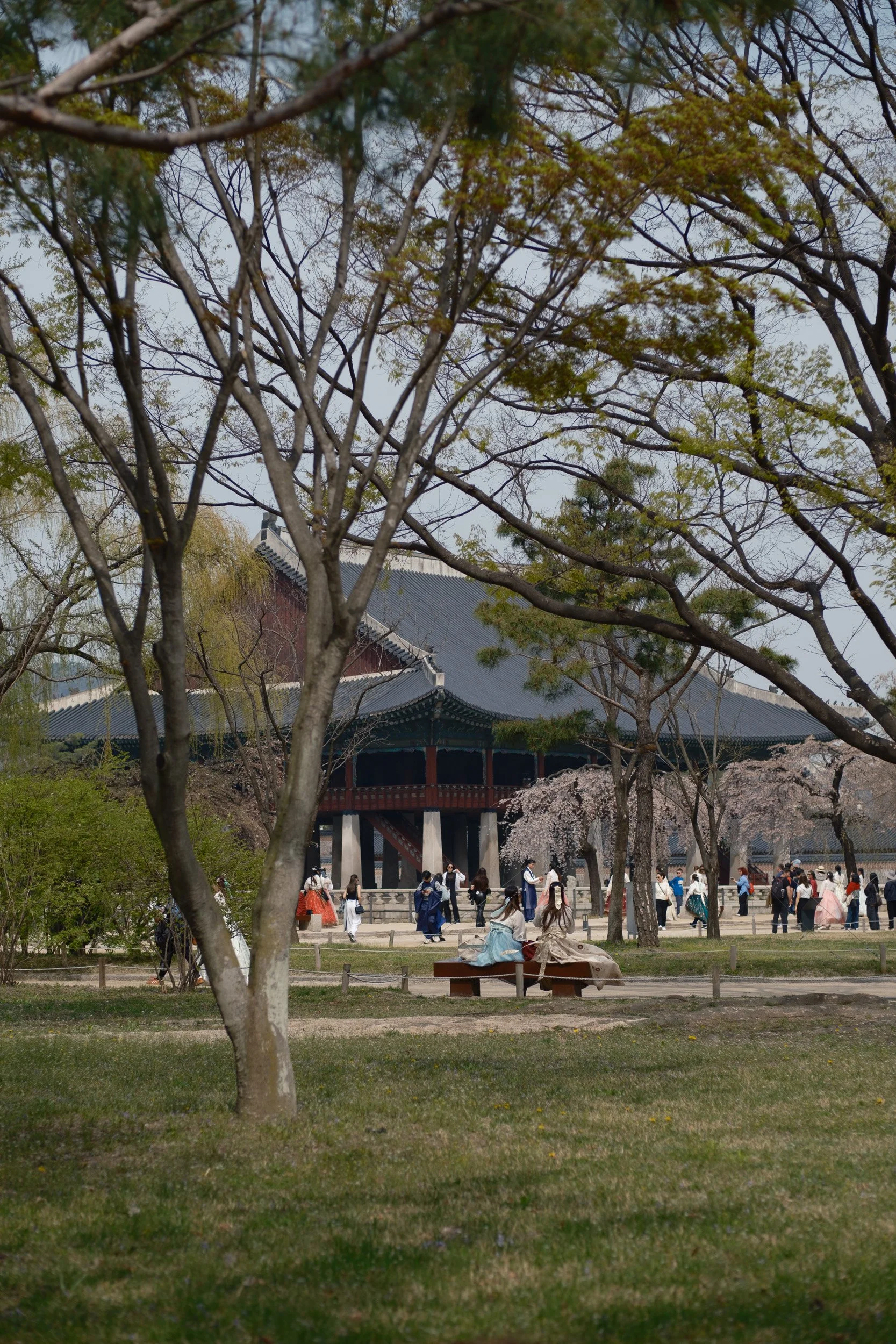 korea-escape-2025-226.jpg