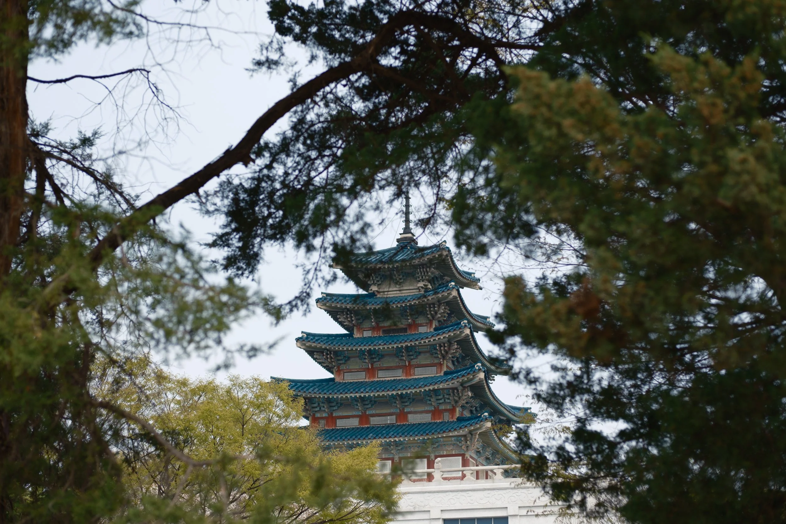 korea-escape-2025-256.jpg