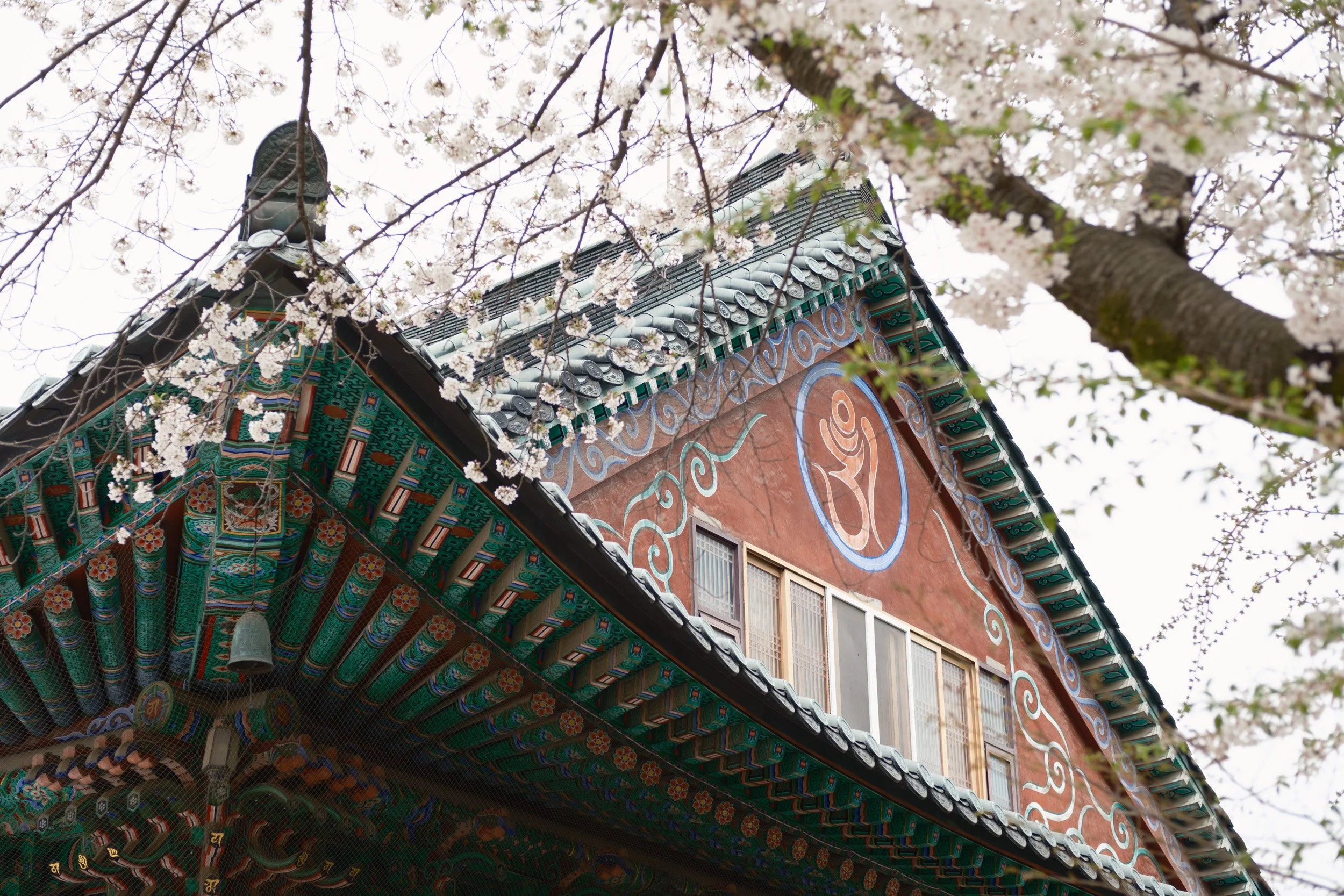 korea-escape-2025-320.jpg