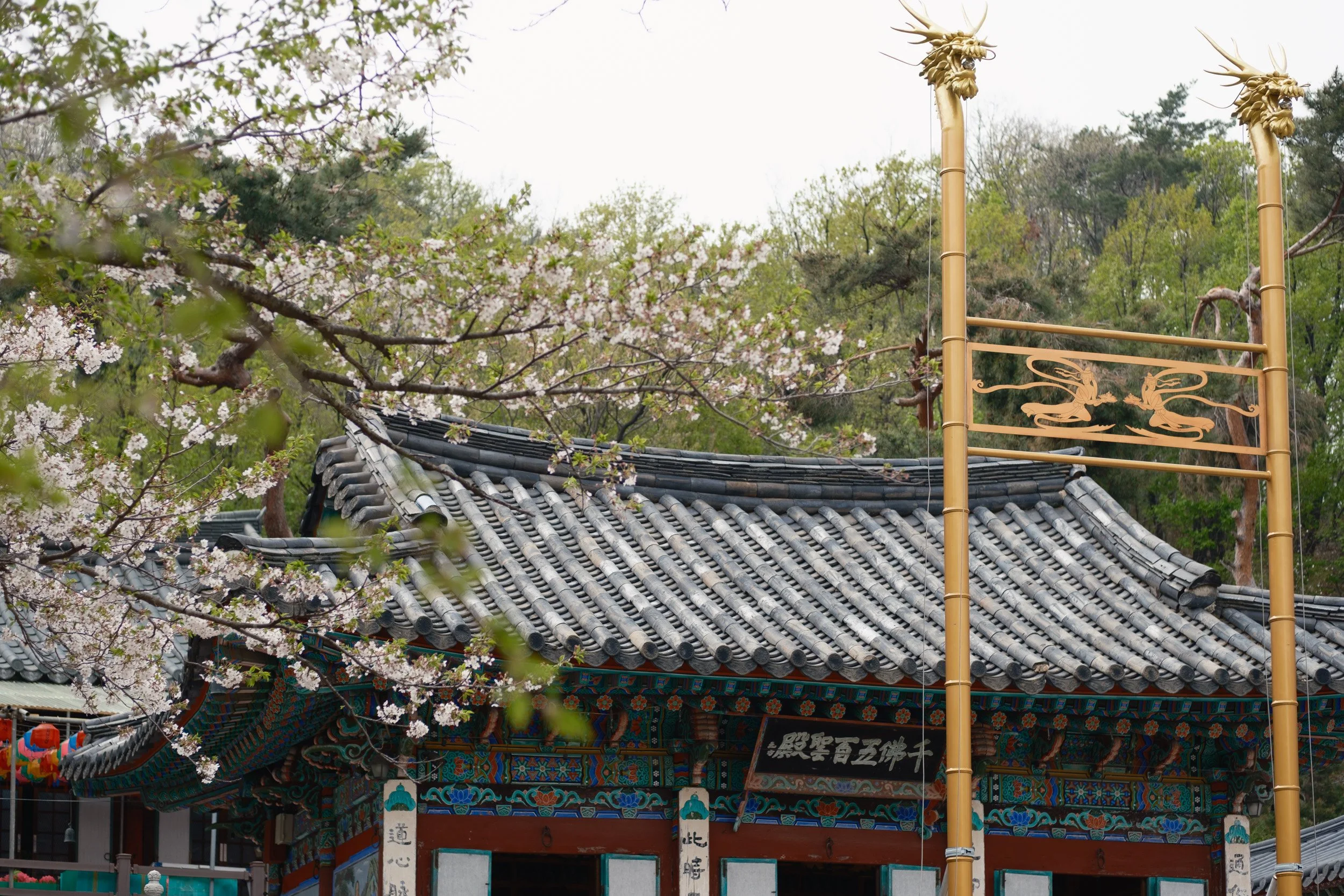 korea-escape-2025-321.jpg
