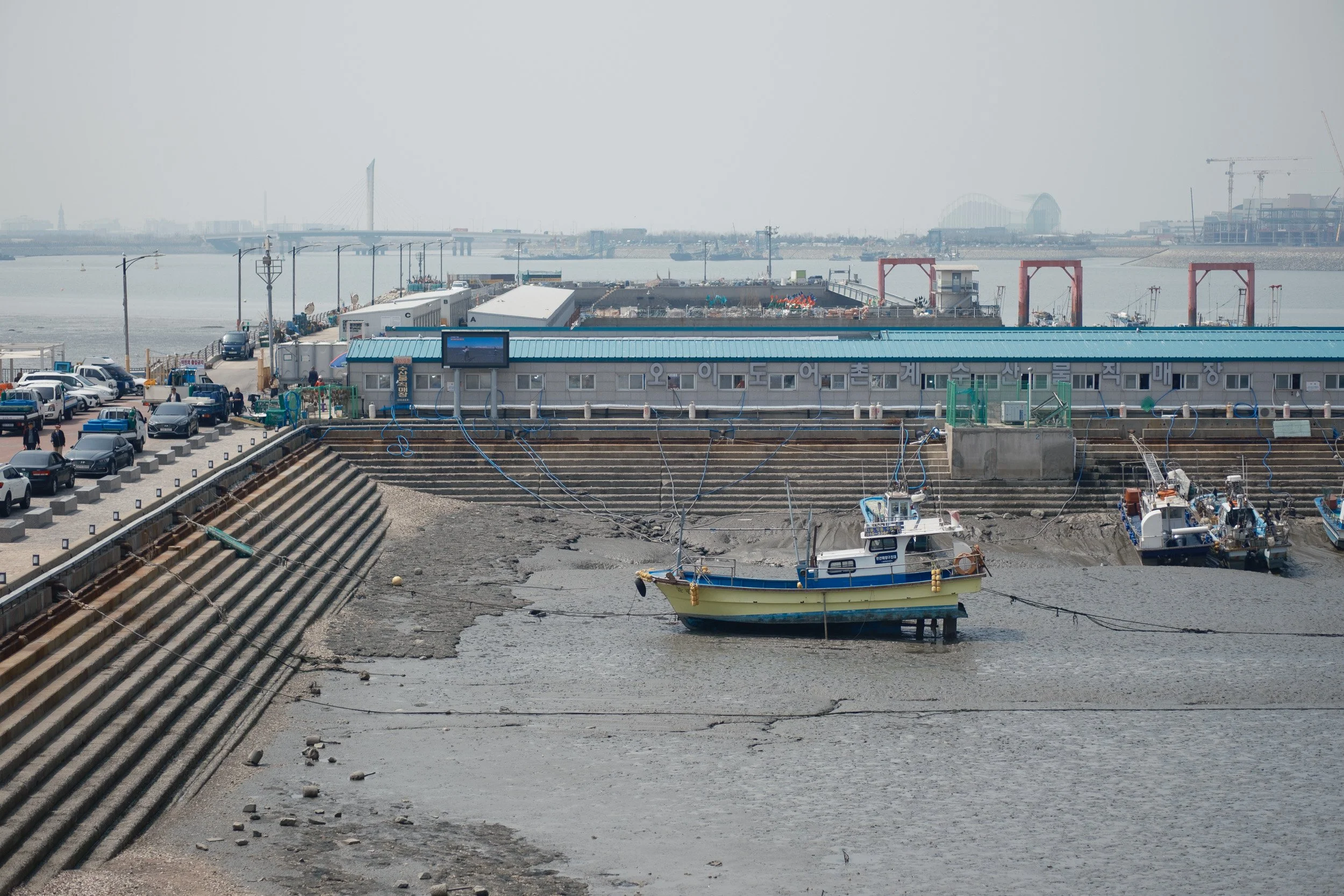 korea-escape-2025-337.jpg