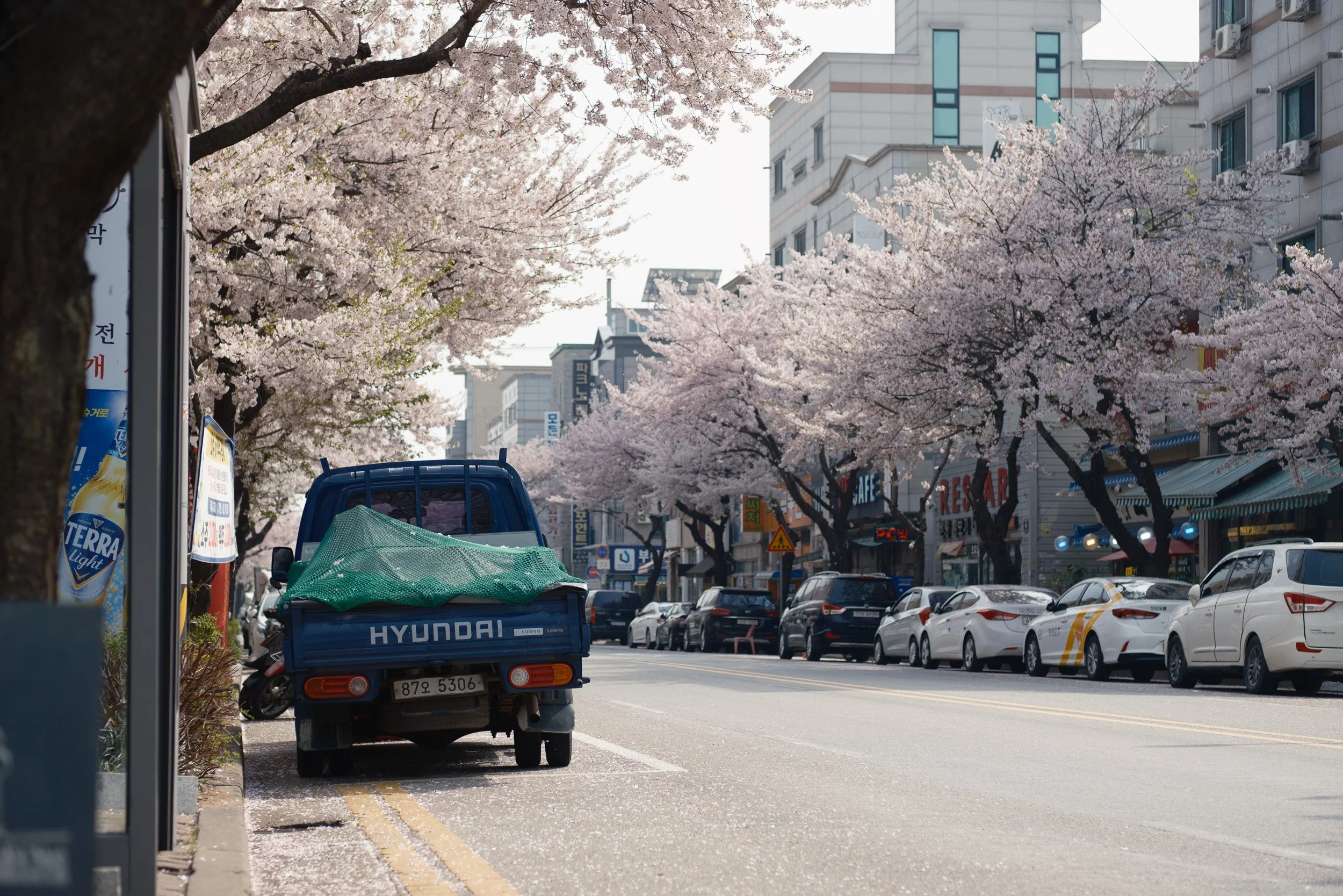 korea-escape-2025-356.jpg