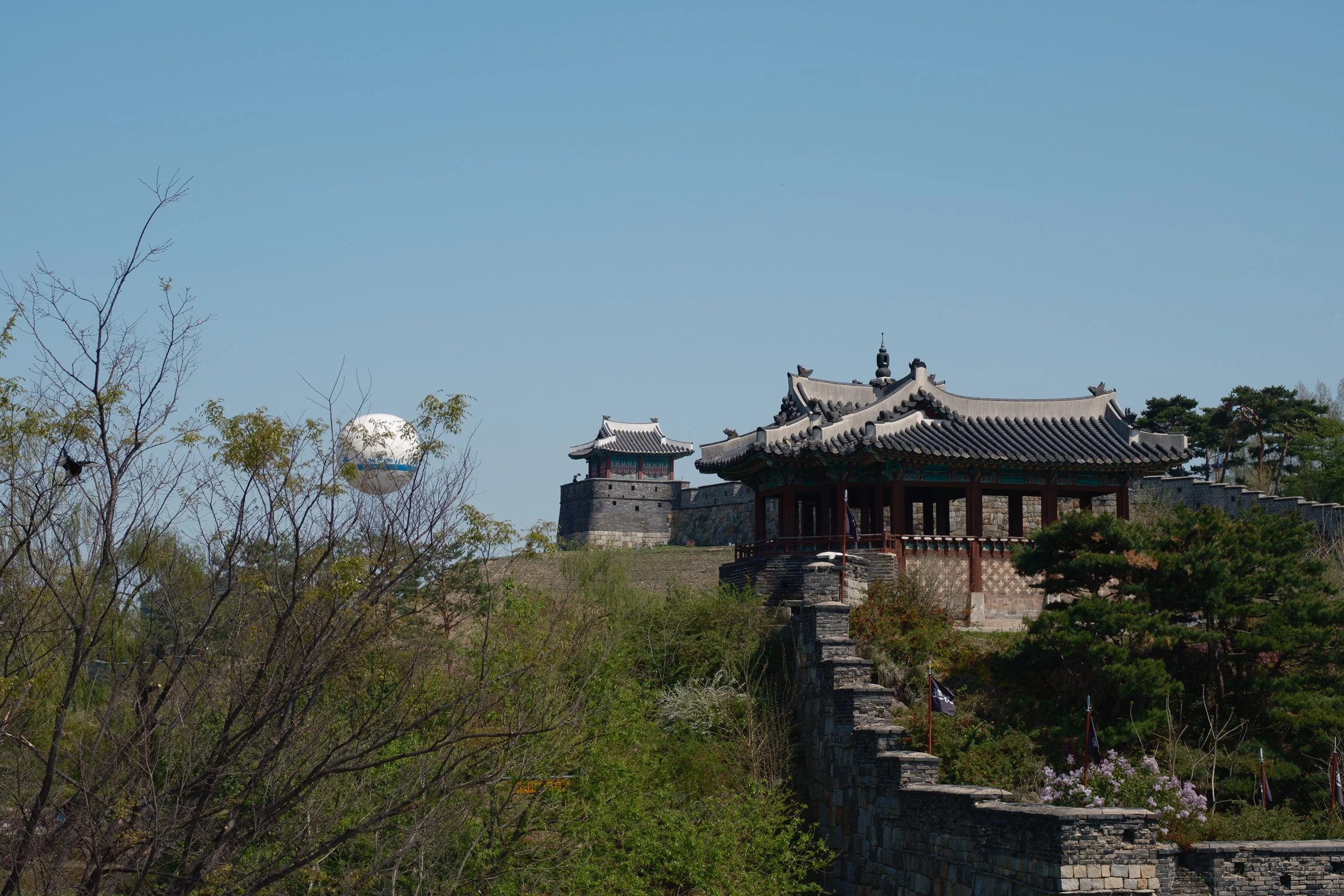 korea-escape-2025-429.jpg