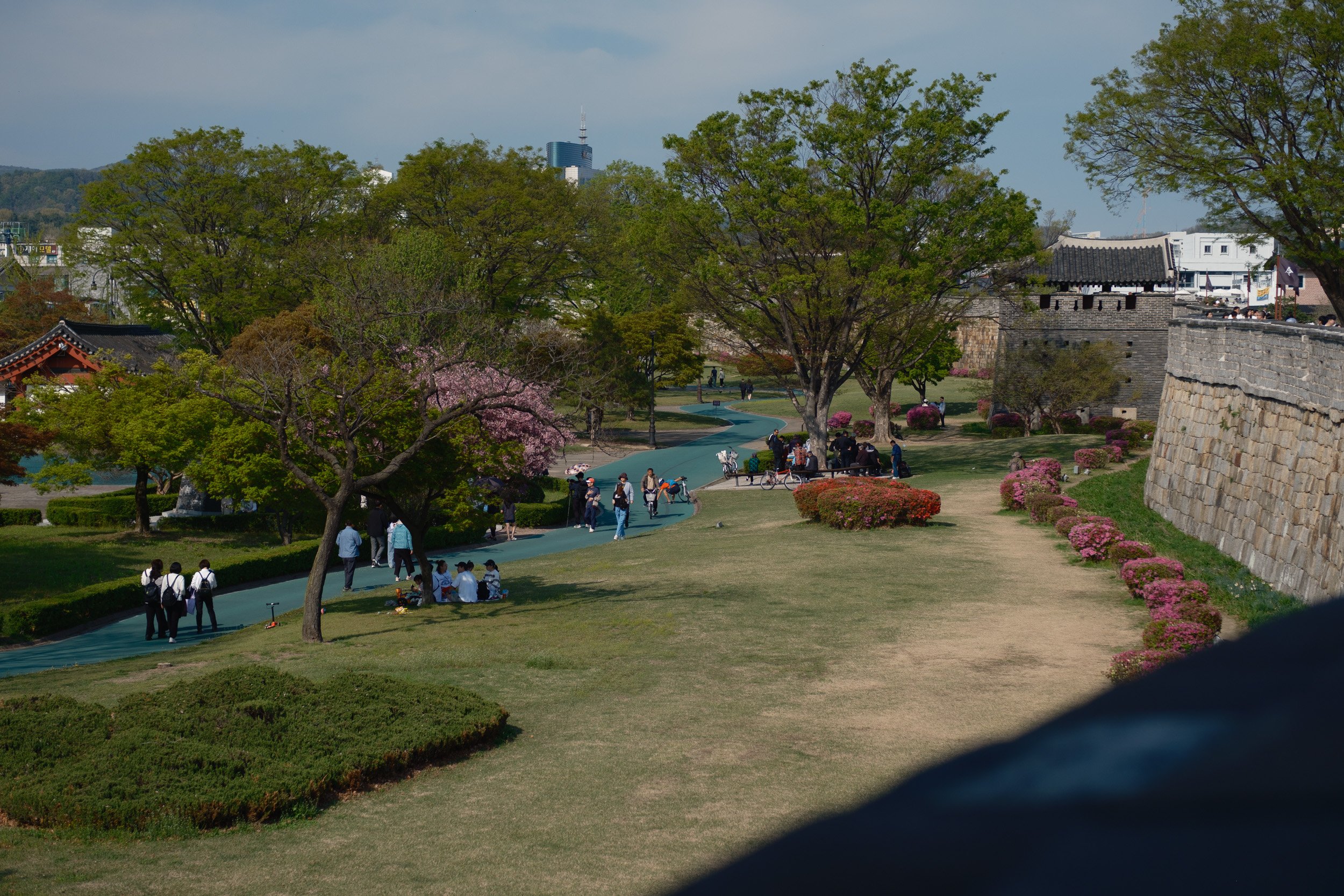 korea-escape-2025-481.jpg