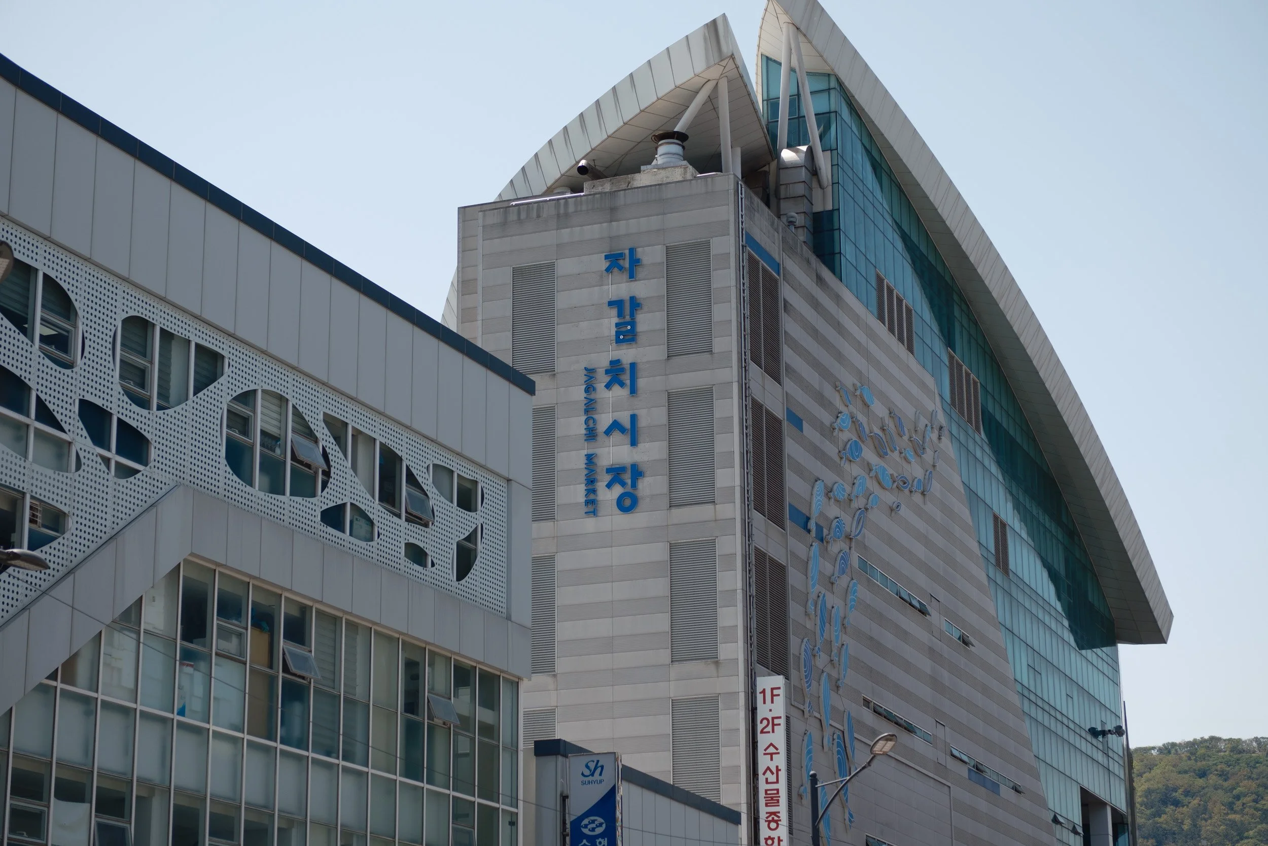 korea-escape-2025-528.jpg