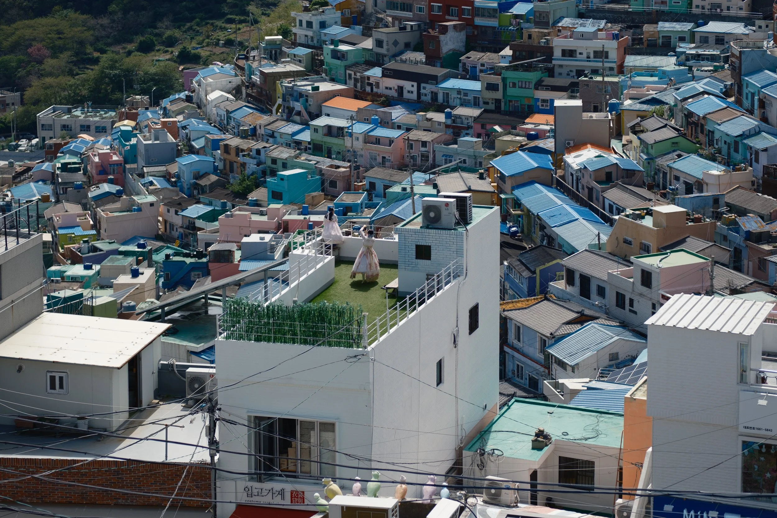 korea-escape-2025-570.jpg