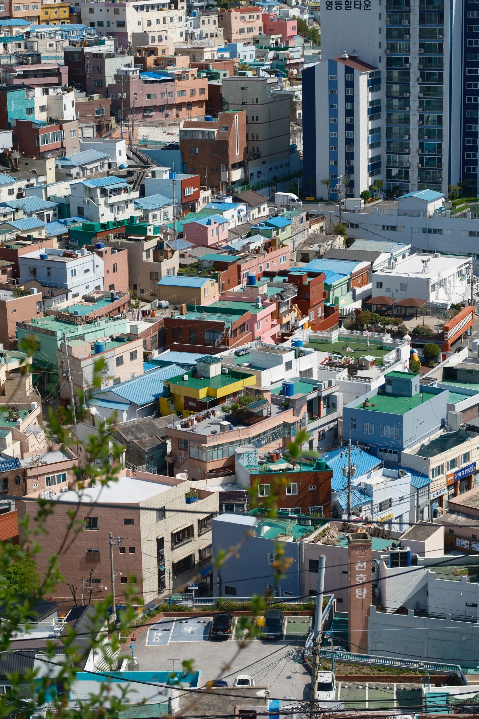 korea-escape-2025-602.jpg