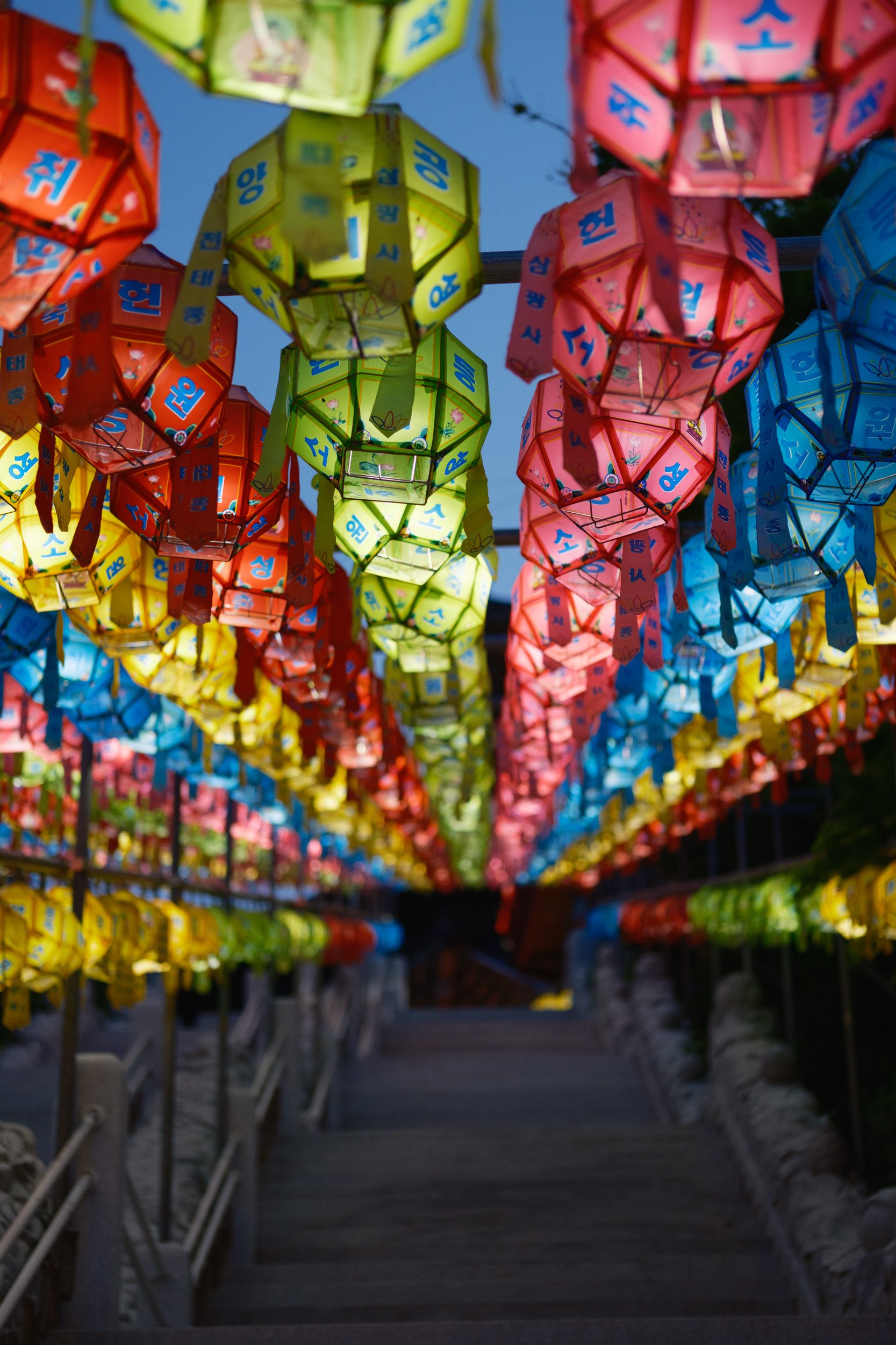 korea-escape-2025-635.jpg