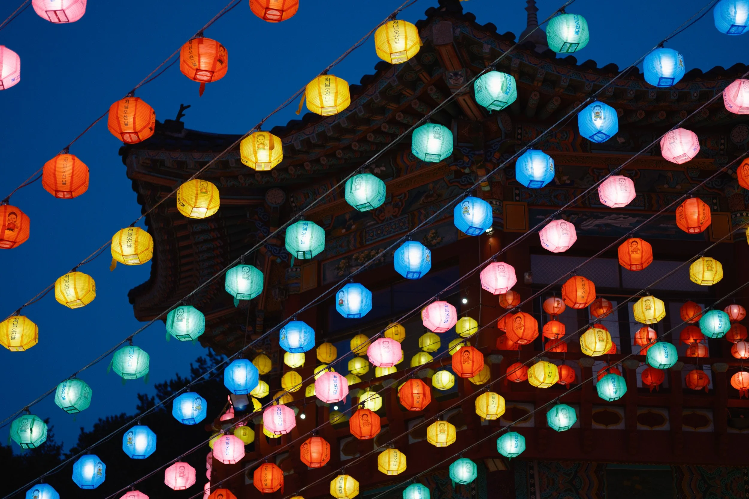korea-escape-2025-646.jpg
