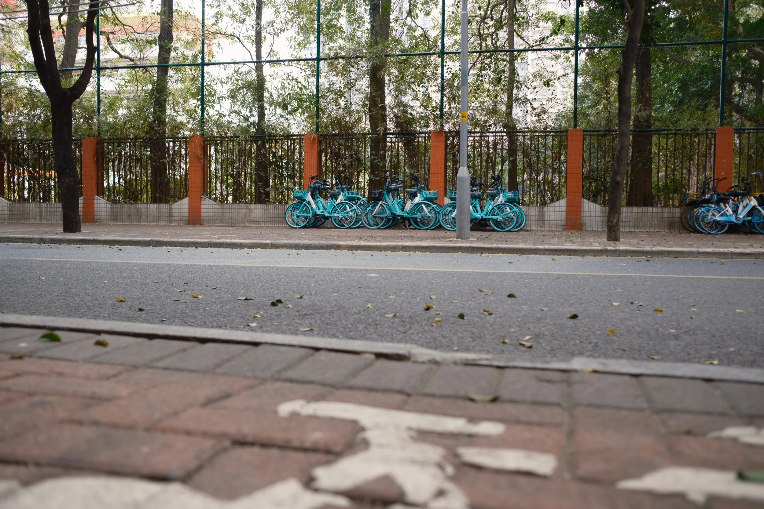 guangzhou-2024-78.jpg