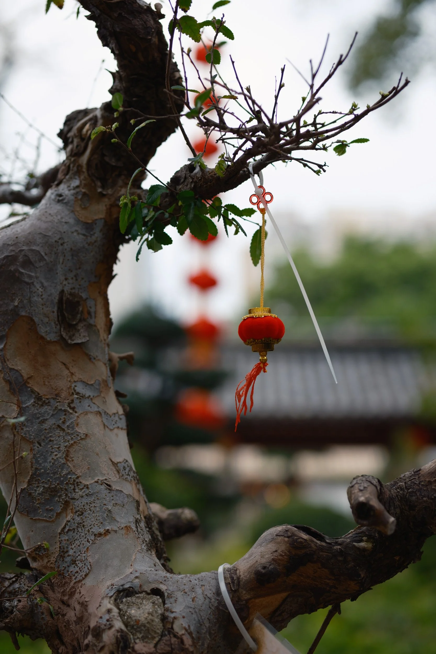 guangzhou-2024-144.jpg