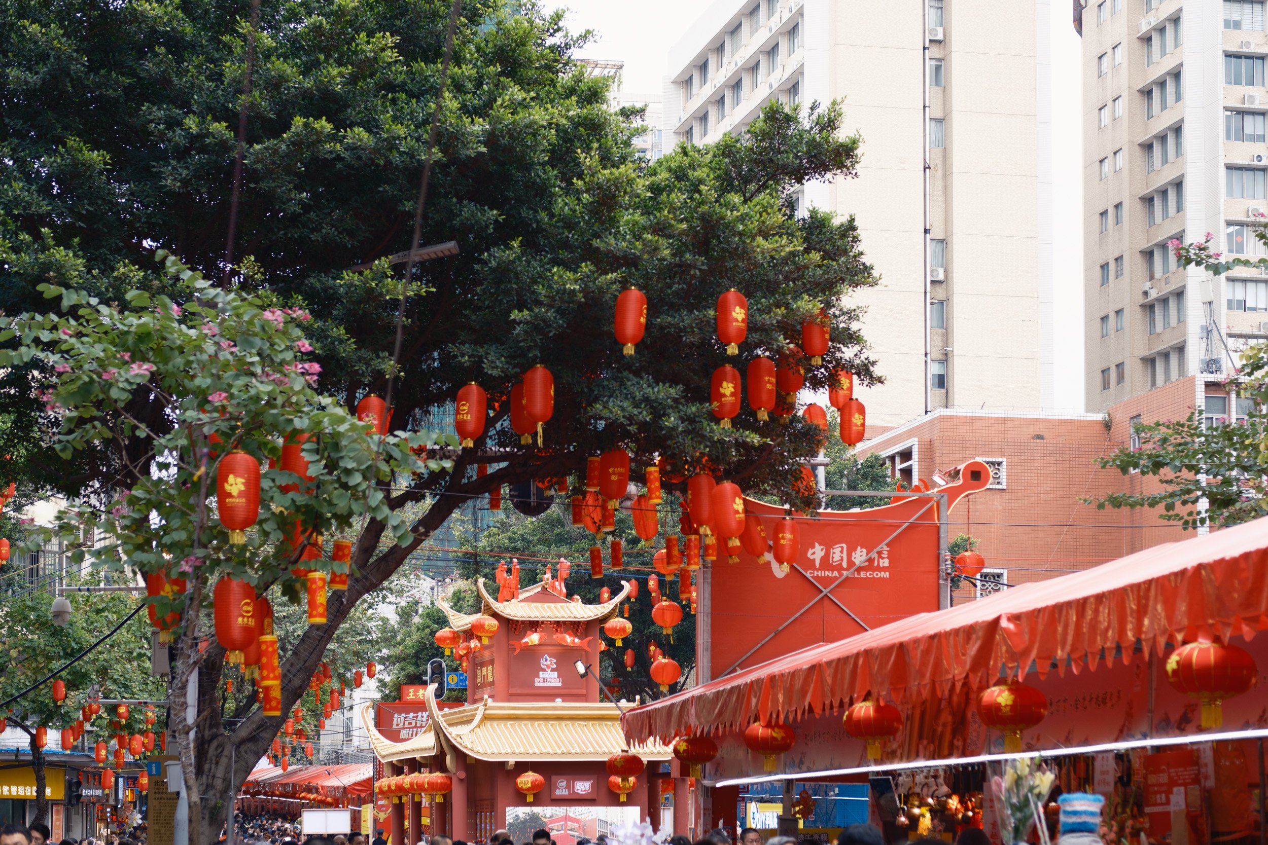 guangzhou-2024-208.jpg