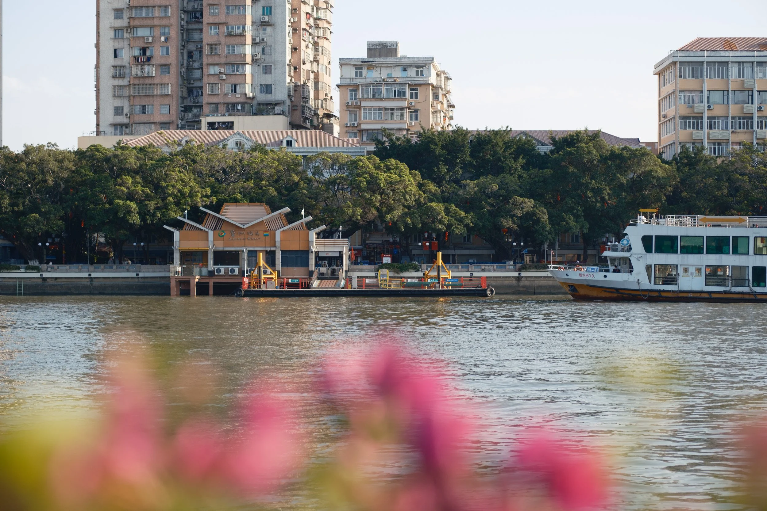 guangzhou-2024-385.jpg