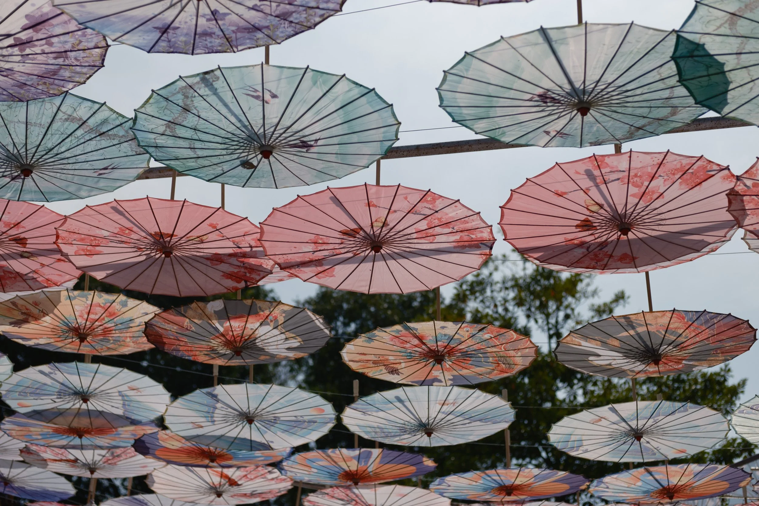 guangzhou-2024-505.jpg