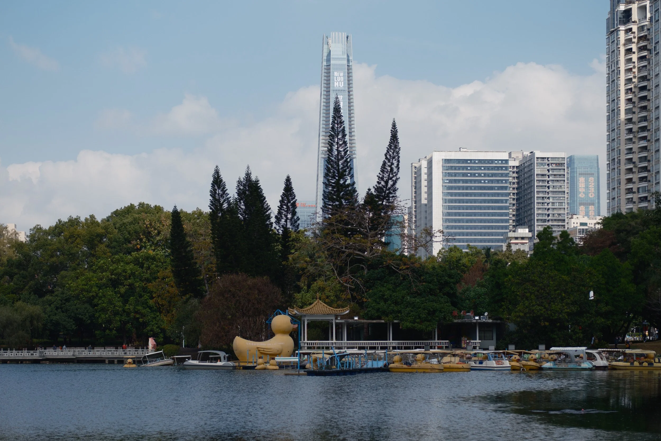 guangzhou-2024-561.jpg